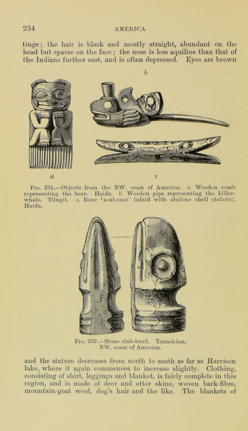 tinge ; the hair is black and mostly straight, abundant on the head but sparse on the face ; the nose is less aquiline than that of the Indians further east, and is often depressed. Eyes are brown Fig. 231.—Objects from the NW. coast of America, a. Wooden comb representing the bear. Haida. b. Wooden pipe representing the killer- whale. Tlingit. c. Bone ‘soul-case’ inlaid with abalone shell (haliotis). Haida. Fig. 232.—Stone club-head. Tsimshian, NW. coast of America. and the stature decreases from north to south as far as Harrison lake, where it again commences to increase slightly. Clothing, consisting of shirt, leggings and blanket, is fairly complete in this region, and is made of deer and otter skins, woven bark-fibre, mountain-goat wool, dog’s hair and the like. The blankets of