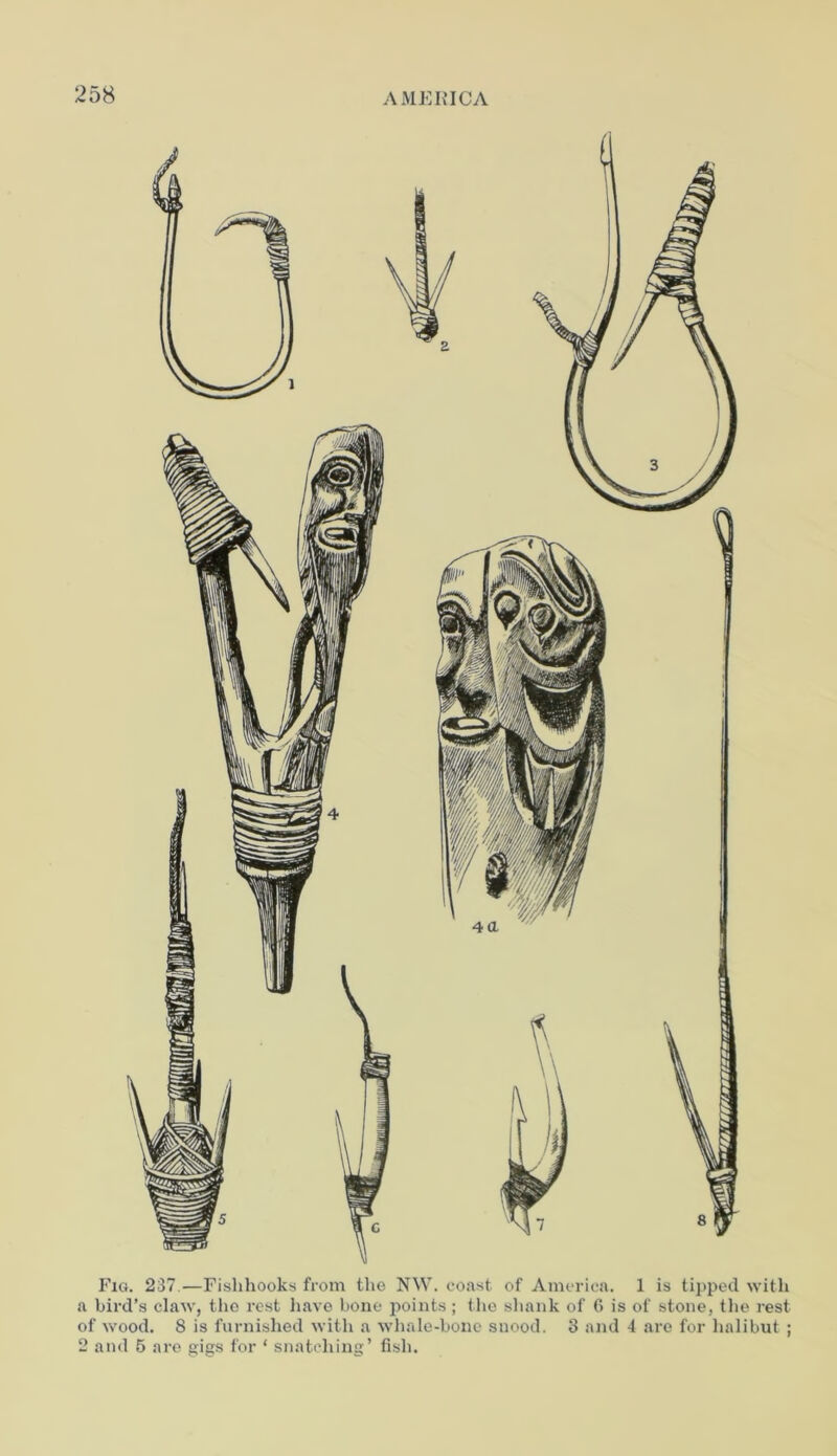 a Fig. 237 —Fishhooks from the NW. coast of America. 1 is tipped with a bird’s claw, the rest have hone points; the shank of 6 is of stone, the rest of wood. 8 is furnished with a whale-bone snood. 3 and 4 are for halibut ; 2 and 5 are gigs for ‘ snatching’ fish.