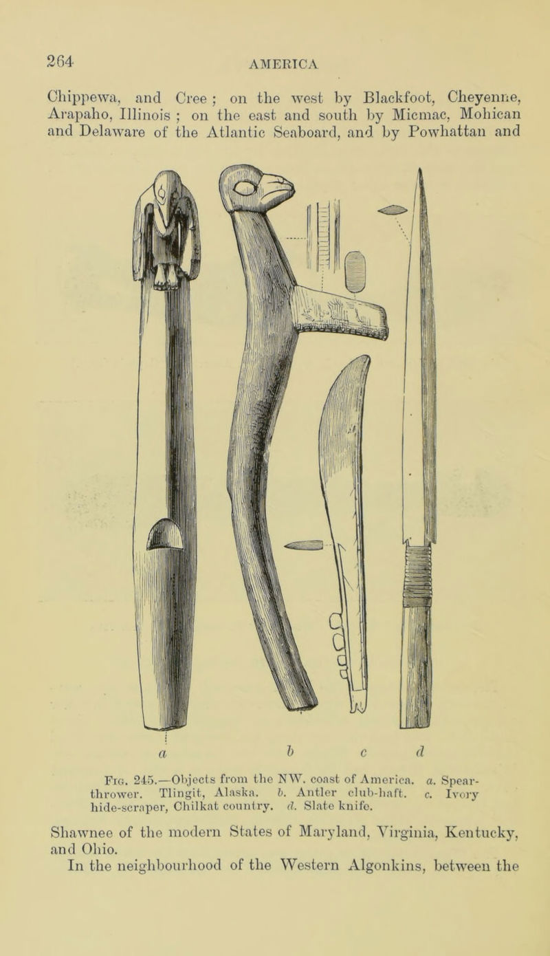 Chippewa, and Cree ; on the west by Blackfoot, Cheyenne, Arapalio, Illinois ; on the east and south by Micmac, Mohican and Delaware of the Atlantic Seaboard, and by Powhattan and Fig. 245.—Objects from the NW. coast of America, a. Spear- thrower. Tlingit, Alaska. b. Antler club-haft. c. Ivory liide-scrnper, Chilkat country, d. Slate knife. Shawnee of the modern States of Maryland, Virginia, Kentucky, and Ohio. In the neighbourhood of the Western Algonkins, between the