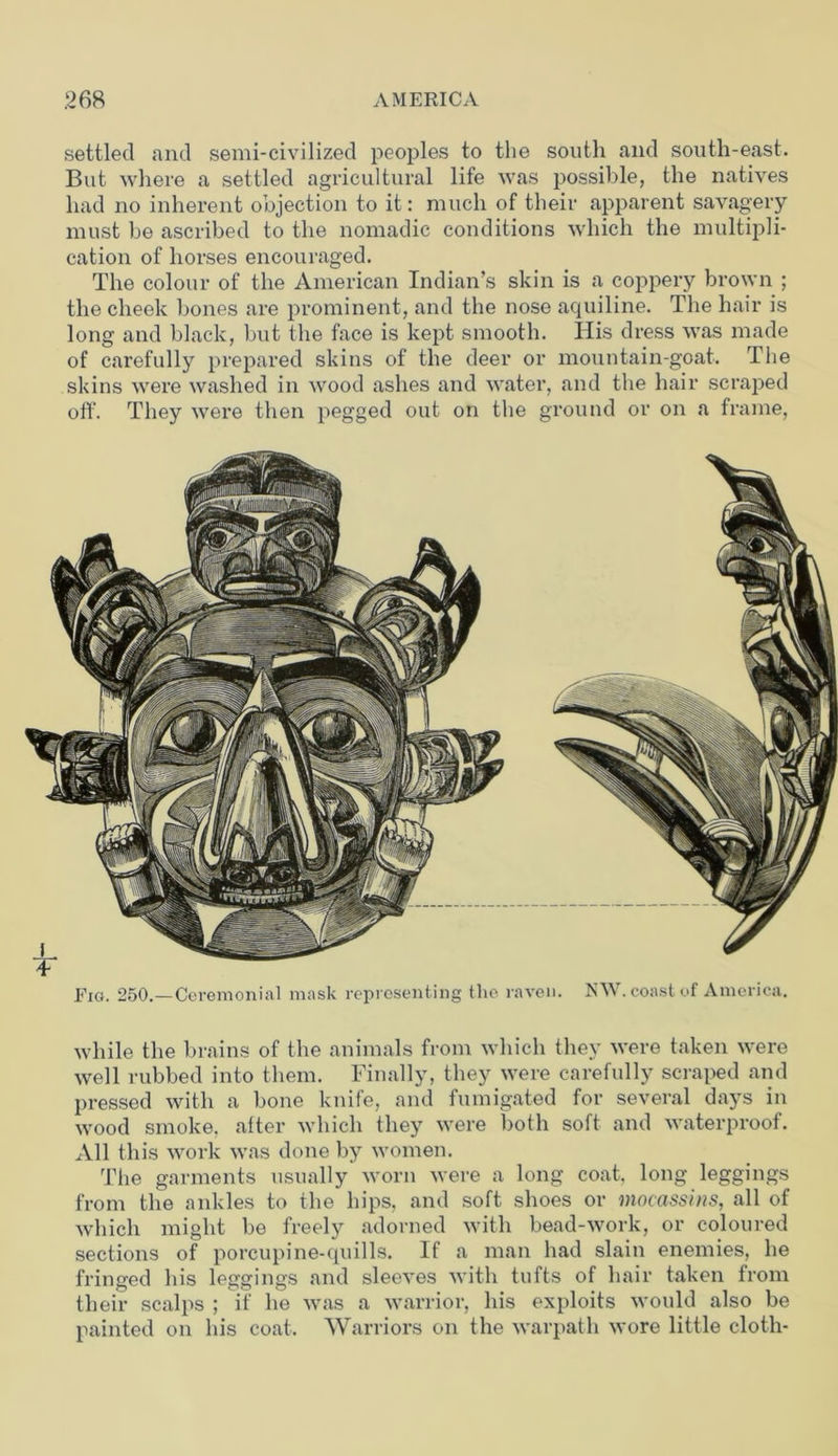 settled and semi-civilized peoples to the south and south-east. But where a settled agricultural life was possible, the natives had no inherent objection to it: much of their apparent savagery must be ascribed to the nomadic conditions which the multipli- cation of horses encouraged. The colour of the American Indian’s skin is a coppery brown ; the cheek bones are prominent, and the nose aquiline. The hair is long and black, but the face is kept smooth. His dress was made of carefully prepared skins of the deer or mountain-goat. The skins were washed in wood ashes and water, and the hair scraped off. They were then pegged out on the ground or on a frame, Fig. 250.—Ceremonial mask representing the raven. KW. coast of America. while the brains of the animals from which they were taken were well rubbed into them. Finally, they were carefully scraped and pressed with a bone knife, and fumigated for several days in wood smoke, after which they were both soft and waterproof. All this work was done by women. The garments usually worn were a long coat, long leggings from the ankles to the hips, and soft shoes or mocassins, all of which might be freely adorned with bead-work, or coloured sections of porcupine-quills. If a man had slain enemies, he fringed his leggings and sleeves with tufts of hair taken from their scalps ; if he was a warrior, his exploits would also be painted on his coat. Warriors on the warpath wore little cloth-