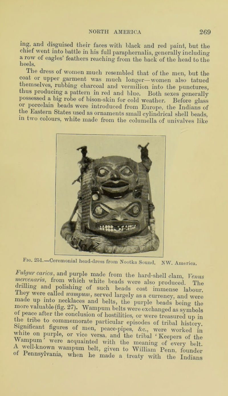ing. and disguised their faces with black and red paint, but the chief went into battle in his full paraphernalia, generally including a row of eagles’ feathers reaching from the back of the head to the heels. The dress of women much resembled that of the men, but the coat or upper garment was much longer—women also tatued themselves, rubbing charcoal and vermilion into the punctures, ms pioducing a pattern in red and blue. Both sexes generally possessed a big robe of bison-skin for cold weather. Before glass oi poicelain beads were introduced from Europe, the Indians of le Eastern States used as ornaments small cylindrical shell beads, m wo colours, white made from the columella of univalves like Fig. Fulgur cancel, and purple made from the hard-shell clam, Venus mercenana, from which white beads were also produced. The m, mg and Pojwhmg of such beads cost immense labour, iiiey were called wampum, served largely as a currency, and were made up into necklaces and belts, the purple beads being the moie valuable (fig. 27). Wampum belts were exchanged as symbols of peace after the conclusion of hostilities, or were treasured up in the tube to commemorate particular episodes of tribal history. Significant figures of men, peace-pipes, &c., were worked in vv iiite on purple, or vice versa, and the tribal ‘ Keepers of the Wampum were acquainted with the meaning of every belt. f ell*known wampum belt, given to William Penn, founder of Pennsylvania, when he made a treaty with the Indians