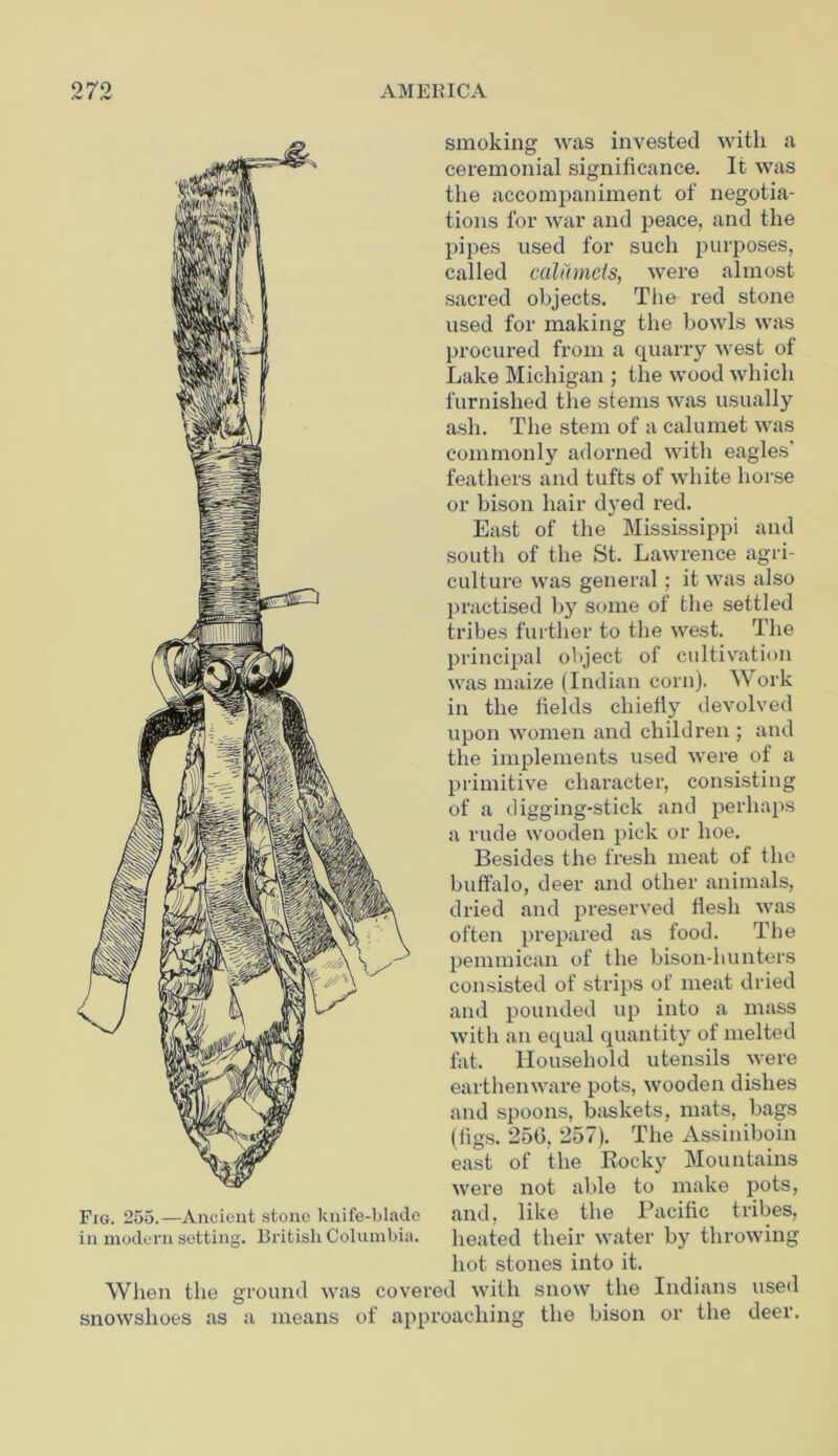 Fig. 255.—Ancient stone knife-blade in modern setting. British Columbia. smoking was invested with a ceremonial significance. It was the accompaniment of negotia- tions for war and peace, and the pipes used for such purposes, called calumets, were almost sacred objects. Tiie red stone used for making the bowls was procured from a quarry west of Lake Michigan ; the wood which furnished the stems was usually ash. The stem of a calumet was commonly adorned with eagles' feathers and tufts of white horse or bison hair dyed red. East of the Mississippi and south of the St. Lawrence agri- culture was general; it was also practised by some of the settled tribes further to the west. The principal object of cultivation was maize (Indian corn). Work in the fields chiefly devolved upon women and children ; and the implements used were of a primitive character, consisting of a digging-stick and perhaps a rude wooden pick or hoe. Besides the fresh meat of the buffalo, deer and other animals, dried and preserved flesh was often prepared as food. The pemmican of the bison-hunters consisted of strips of meat dried and pounded up into a mass with an equal quantity of melted fat. Household utensils were earthenware pots, wooden dishes and spoons, baskets, mats, bags (figs. 256, 257). The Assiniboin east of the Rocky Mountains were not able to make pots, and, like the Pacific tribes, heated their water by throwing hot stones into it. When the ground was covered with snow the Indians used snowshoes as a means of approaching the bison or the deer.
