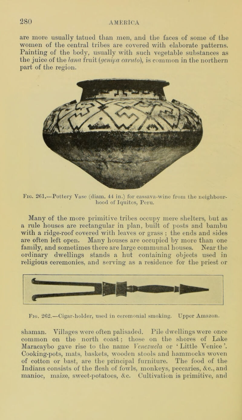 are more usually tatued than men, and the faces of some of the women of the central tribes are covered with elaborate patterns. Painting of the body, usually with such vegetable substances as the juice of the tana fruit ((jenipa earn to), is common in the northern part of the region. Fig. 261.—Pottery Vii.se (diam. 44 in.) for cassava-wine from the neighbour- hood of Iquitos, Peru. Many of the more primitive tribes occupy mere shelters, but as a rule houses are rectangular in plan, built of posts and bambu with a ridge-roof covered with leaves or grass ; the ends and sides are often left open. Many houses are occupied by more than one family, and sometimes there are large communal houses. Near the ordinary dwellings stands a hut containing objects used in religious ceremonies, and serving as a residence for the priest or Fig. 262.—Cigar-holder, used in ceremonial smoking. Upper Amazon. shaman. Villages were often palisaded. Pile dwellings were once common on the north coast; those on the shores of Lake Maracaybo gave rise to the name Venezuela or ‘Little Venice’. Cooking-pots, mats, baskets, wooden stools and hammocks woven of cotton or bast, are the principal furniture. The food of the Indians consists of the flesh of fowls, monkeys, peccaries, Ac., and manioc, maize, sweet-potatoes, Ac. Cultivation is primitive, and