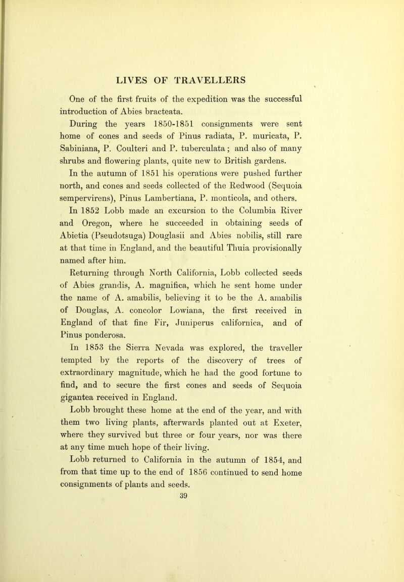 One of the first fruits of the expedition was the successful introduction of Abies bracteata. During the years 1850-1851 consignments were sent home of cones and seeds of Pinus radiata, P. muricata, P. Sabiniana, P. Coulteri and P. tuberculata; and also of many shrubs and flowering plants, quite new to British gardens. In the autumn of 1851 his operations were pushed further north, and cones and seeds collected of the Redwood (Sequoia sempervirens), Pinus Lambertiana, P. monticola, and others. In 1852 Lobb made an excursion to the Columbia River and Oregon, where he succeeded in obtaining seeds of Abietia (Pseudotsuga) Douglasii and Abies nobilis, still rare at that time in England, and the beautiful Thuia provisionally named after him. Returning through North California, Lobb collected seeds of Abies grandis, A. magnifica, which he sent home under the name of A. amabilis, believing it to be the A. amabilis of Douglas, A. concolor Lowiana, the first received in England of that fine Fir, Juniperus californica, and of Pinus ponderosa. In 1853 the Sierra Nevada was explored, the traveller tempted by the reports of the discovery of trees of extraordinary magnitude, which he had the good fortune to find, and to secure the first cones and seeds of Sequoia gigantea received in England. Lobb brought these home at the end of the year, and with them two living plants, afterwards planted out at Exeter, where they survived but three or four years, nor was there at any time much hope of their living. Lobb returned to California in the autumn of 1854, and from that time up to the end of 1856 continued to send home consignments of plants and seeds,