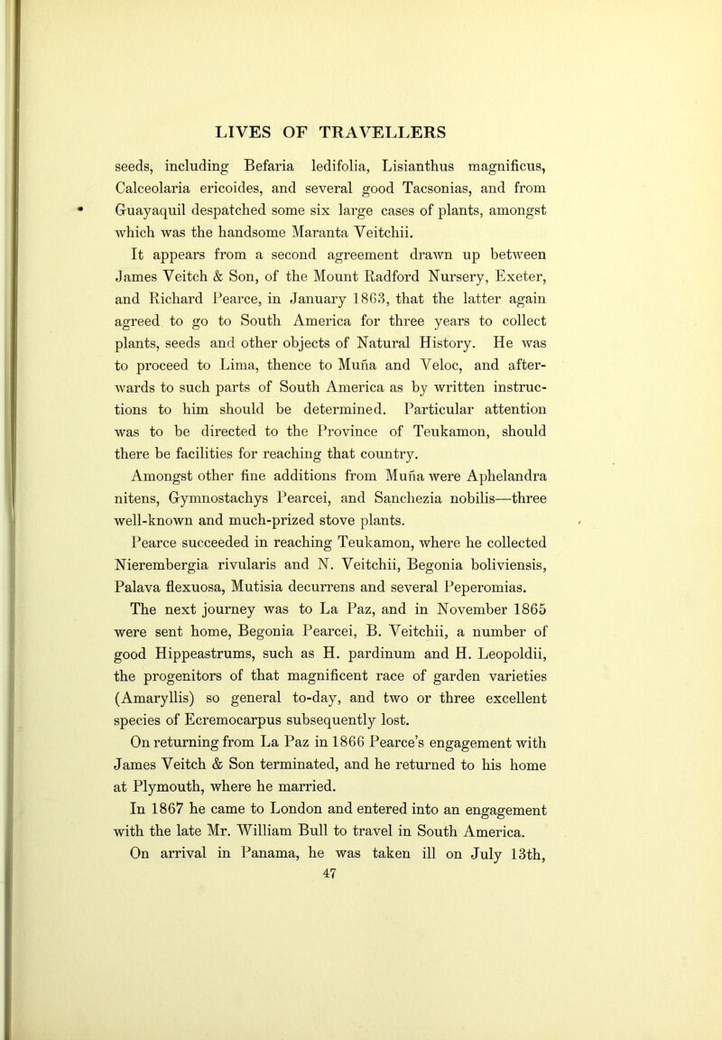 seeds, including Befaria ledifolia, Lisianthus magnificus, Calceolaria ericoides, and several good Tacsonias, and from Gruayaquil despatched some six large cases of plants, amongst which was the handsome Maranta Veitchii. It appears from a second agreement drawn up between James Veitch & Son, of the Mount Radford Nursery, Exeter, and Richard Pearce, in January 1863, that the latter again agreed to go to South America for three years to collect plants, seeds and other objects of Natural History. He was to proceed to Lima, thence to Muha and Veloc, and after- wards to such parts of South America as by written instruc- tions to him should be determined. Particular attention was to be directed to the Province of Teukamon, should there be facilities for reaching that country. Amongst other fine additions from Muha were Aphelandra nitens, Gymnostachys Pearcei, and Sanchezia nobilis—three well-known and much-prized stove plants. Pearce succeeded in reaching Teukamon, where he collected Nierembergia rivularis and N. Veitchii, Begonia boliviensis, Palava flexuosa, Mutisia decurrens and several Peperomias. The next journey was to La Paz, and in November 1865 were sent home, Begonia Pearcei, B. Veitchii, a number of good Hippeastrums, such as H. pardinum and H. Leopoldii, the progenitors of that magnificent race of garden varieties (Amaryllis) so general to-day, and two or three excellent species of Ecremocarpus subsequently lost. On returning from La Paz in 1866 Pearce’s engagement with James Veitch & Son terminated, and he returned to his home at Plymouth, where he married. In 1867 he came to London and entered into an engagement with the late Mr. William Bull to travel in South America. On arrival in Panama, he was taken ill on July 13th,