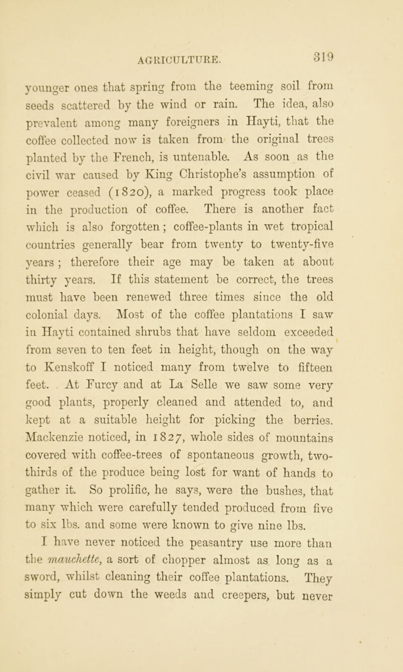 younger ones that spring from the teeming soil from seeds scattered by the wind or rain. The idea, also prevalent among many foreigners in Hayti, that the coffee collected now is taken from the original trees planted by the French, is untenable. As soon as the civil war caused by King Christophe’s assumption of power ceased (1820), a marked progress took place in the production of coffee. There is another fact which is also forgotten; coffee-plants in wet tropical countries generally bear from twenty to twenty-five years ; therefore their age may be taken at about thirty years. If this statement be correct, the trees must have been renewed three times since the old colonial days. Most of the coffee plantations I saw in Hayti contained shrubs that have seldom exceeded from seven to ten feet in height, though on the way to Kenskoff I noticed many from twelve to fifteen feet. At Furcy and at La Selle we saw some very good plants, properly cleaned and attended to, and kept at a suitable height for picking the berries. Mackenzie noticed, in 1827, whole sides of mountains covered wTith coffee-trees of spontaneous growth, two- thirds of the produce being lost for want of hands to gather it. So prolific, he says, were the bushes, that many which were carefully tended produced from five to six lbs. and some wTere known to give nine lbs. I have never noticed the peasantry use more than the mauchettc, a sort of chopper almost as long as a sword, whilst cleaning their coffee plantations. They simply cut down the weeds and creepers, but never