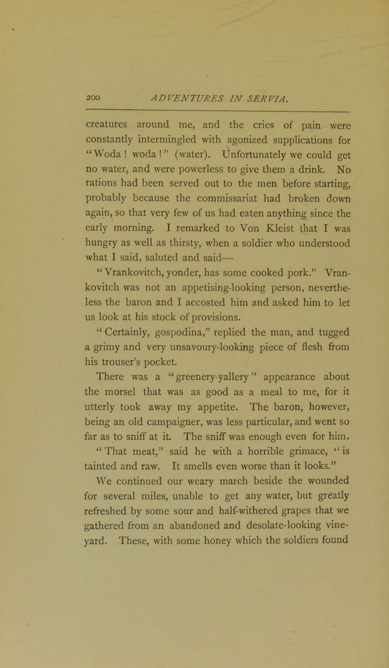 creatures around me, and the cries of pain were constantly intermingled with agonized supplications for “Woda! woda!” (water). Unfortunately we could get no water, and were powerless to give them a drink. No rations had been served out to the men before starting, probably because the commissariat had broken down again, so that very few of us had eaten anything since the early morning. I remarked to Von Kleist that I was hungry as well as thirsty, when a soldier who understood what I said, saluted and said— “ Vrankovitch, yonder, has some cooked pork.” Vran- kovitch was not an appetising-looking person, neverthe- less the baron and I accosted him and asked him to let us look at his stock of provisions. “ Certainly, gospodina,” replied the man, and tugged a grimy and very unsavoury-looking piece of flesh from his trouser’s pocket. There was a “ green ery-yallery ” appearance about the morsel that was as good as a meal to me, for it utterly took away my appetite. The baron, however, being an old campaigner, was less particular, and went so far as to sniff at it. The sniff was enough even for him. “ That meat,” said he with a horrible grimace, “ is tainted and raw. It smells even worse than it looks.” We continued our weary march beside the wounded for several miles, unable to get any water, but greatly refreshed by some sour and half-withered grapes that we gathered from an abandoned and desolate-looking vine- yard. These, with some honey which the soldiers found