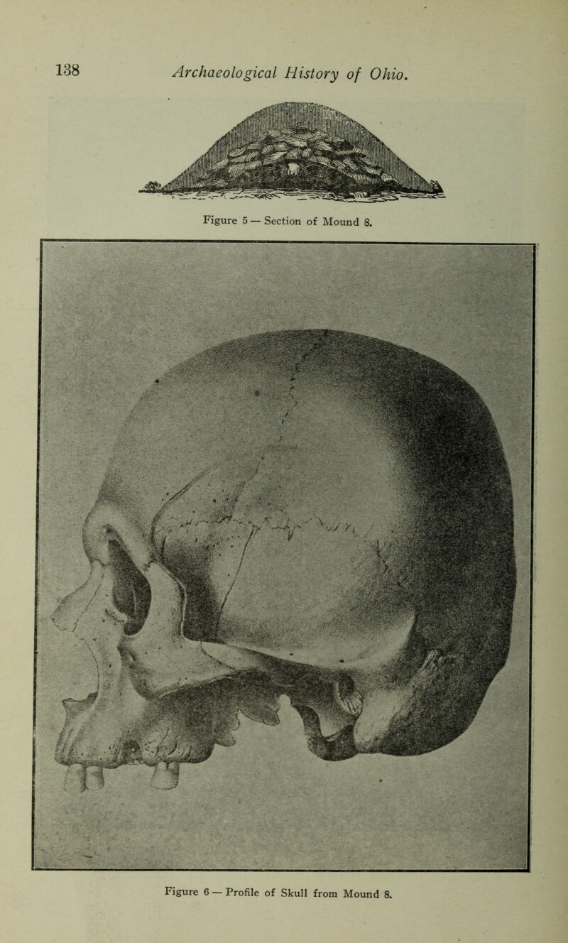 Figure 5 — Section of Mound 8. Figure 6 — Profile of Skull from Mound 8.