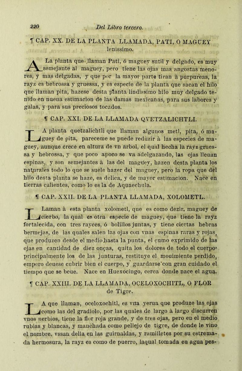 f CAP. XX. DE LA PLANTA LLAMADA, PATI, O MAGUEY lenissimo. A La planta que llaman Pati, ó maguey sutil y delgado, es muy semejante al maguey, pero tiene las ojas mas angostas meno- res, y mas delgadas, y que por la mayor parte tiran á purpureas, la rayz es bebrossa y gruessa, y es especio de la planta que sacan el hilo que llaman pita, hazese desta planta lindissimo hilo muy delgado te- nido en nueua estimación de las damas mexicanas, para sus labores y galas, y para sus preciosos tocados. ÍT CAP. XXL DE LA LLAMADA QVETZALICHTLI. La planta quetzalichtlj que llaman alguuos metí, pita, ó ma- guey de pita, pareceme se puede redúzir á las especies de ma- guey, aunque crece en altura de vn árbol, el qual hecha la rayz grues- sa y hebrossa, y que poco apoco se va adelgazando, las ojas lleuan espinas^, y son semejantes h las del magiíey, hazen desta planta los nal^uralés todo lo que se suele hazer del maguey, pero la ropa que del hilo desta planta se haze, es dclica, y de mayor estimación. Nace en tierras calientes, como lo es la de Aquaechula. H CAP. XXII. DE LA PLANTA LLAMADA, XOLOMETL. Laman á esta planta xolometl, que es como dezir, maguey de ^cierbo, la qual e.s otra especie de maguey, que tiene la rayz fortalecida, con tres rayces, ó bolillos juntas, y tiene ciei’tas hebras bermejas, de las quales salen las ojas con vnas espinas raras y rojas, que produzen desde el mediphasta la punta, el cumo exprimido de las ojas en cantidad de diez onfas, quita los dolores de todo el cuerpo» principalmente los de las junturas, restituyo el mouimiente perdido, empero deuese cubrir bien el cuerpo, y guardarse’con gran cuidado el tiempo que se beue. Nace en Huexociugo, cerca donde nace el agua. jf CAP. XXIII. DE LA LLAMADA, 0CEL0X0CHITL,.0 FLOR de Tigre. La que llaman, oceloxochitl, es vua yerua que produze las ojas como las del gradiolo, por las quales de largo á largo discurren vnos nerbios, tiene la flor roja grande, y de tres ojas, pero en el medio rubias y blancas, y manchada como pellejo de tigre, de donde le vino el nombre, vssan della en las guirnaldas, y ramilletes por su estrema- da hermosura, la rayz es como de puerro, laqual tomada en agua pes-