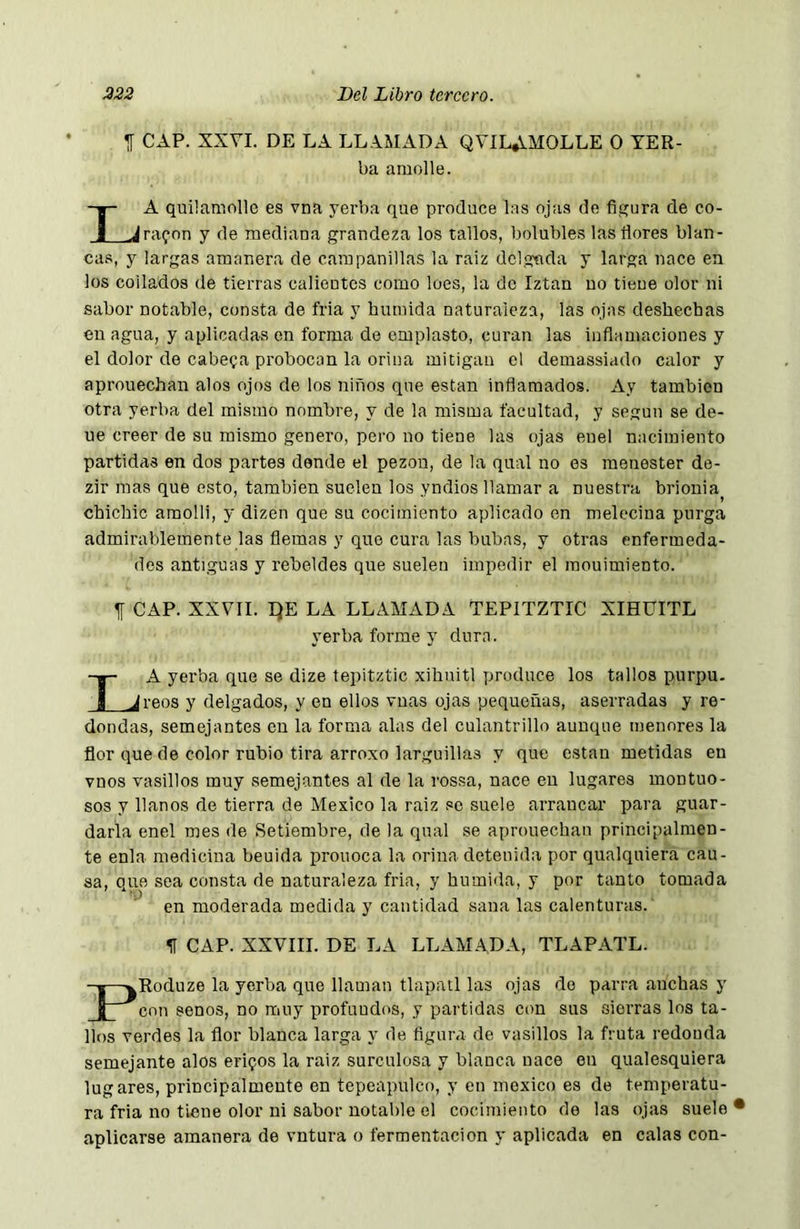 CAP. XXVI. DE LA LLAMADA QVILAMOLLE O TER- ba amolle. -w- A quilamolle es vna yerba que produce las ojas de figura de co- Jj Jrafon y de mediana grandeza los tallos, bolubles las flores blan- cas, y largas amanera de campanillas la raíz dclguda y larga nace en los collados de tierras calientes como loes, la de Iztan no tiene olor ni sabor notable, consta de fria y húmida naturaleza, las ojas deshechas en agua, y aplicadas en forma de emplasto, curan las inflamaciones y el dolor de cabera probocon la orina mitigan el demassiado calor y aprouechan alos ojos de los niños que están inflamados. Ay también otra yerba del mismo nombre, y de la misma facultad, y según se de- ue creer de su mismo genero, pero no tiene las ojas euel nacimiento partidas en dos partes dende el pezón, de la qual no es menester de- zir mas que esto, también suelen los yndios llamar a nuestra brionia^ chichic amolli, y dizen que su cocimiento aplicado en melecina purga admirablemente las flemas y que cura las bubas, y otras enfermeda- des antiguas y rebeldes que suelen impedir el raouimiento. CAP. XXVII. I)E LA LLAMADA TEPITZTIC XIHUITL yerba forme y dura. La yerba que se dize tepitztic xihnitl produce los tallos purpu. reos y delgados, y en ellos vuas ojas pequeñas, aserradas y re- dondas, semejantes en la forma alas del culantrillo aunque menores la flor que de color rubio tira arroxo larguillas y que están metidas en vnos vasillos muy semejantes al de la rossa, nace en lugares montuo- sos y llanos de tierra de Mexico la raiz se suele arrancar para guar- darla enel mes de Setiembre, de la qual se aprouechan principalmen- te enla medicina beuida prouoca la orina detenida por qualquiera cau- sa, que sea consta de naturaleza fria, y húmida, y por tanto tomada en moderada medida y cantidad sana las calenturas. íí CAP. XXVIII. DE LA LLAMADA, TLAPATL. -|—vRoduze la yerba que llaman tlapatl las ojas do parra anchas y I con senos, no muy profundos, y partidas con sus sierras los ta- llos verdes la flor blanca larga y de figura de vasillos la fruta redonda semejante alos erizos la raiz surculosa y blanca nace en qualesquiera lugares, principalmente en tepeapnlco, y en mexico es de temperatu- ra fria no tiene olor ni sabor notable el cocimiento de las ojas suelo aplicarse amanera de vntura o fermentación y aplicada en calas con-