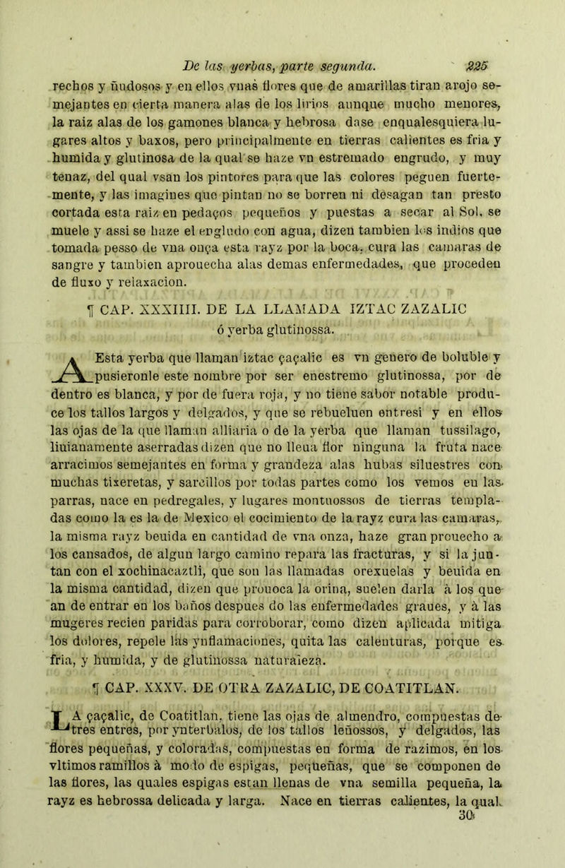 pechos y ñudosos y en ellos vnas flores que de amarillas tiran arojo se- mejantes en cierta manera alas de los lirios aunque mucho menores, la raiz alas de los gamones blanca y hebrosa dase enqualesquiera lu- gares altos y haxos, pero principalmente en tierras calientes es fría y húmida y glutinosa de la qual se haze vn estremado engrudo, y muy tenaz, del qual vsau los pintores para <iue las colores peguen fuerte- mente, y las imagines que pintan no se borren ni desagan tan presto cortada esra raiz en pedamos pequeños y puestas a secar al Sol, se muele y assi se haze el engludo con agua, dizen también les indios que tomada pesso de vua ouf-a esta rayz por la boca, cura las camaras de sangre y también aprouecha alas demas enfermedades, que proceden de fluxo y relaxacion. II CAP. XXXIIII. DE LA LLAMADA IZTAC ZAZALIC ó yerba glutinossa. A Esta yerba que llaman iztac ^a^alic es vn genero de boluble y y~\ nusieronle este nombre por ser enestremo glutinossa, por de dentro es blanca, y por de fuera roja, y no tiene sabor notable produ- ce los tallos largos y delgados, y que se rebueluon entresi y en ello» las ojas de la que llaman alliaria o de la yerba que llaman tussilago, liuianamente aserradas dizen que no lleua flor ninguna la fruta nace arracimos semejantes en forma y grandeza alas bubas siluestres con- muchas tixeretas, y sarcillos por todas partes como los vemos eu las- parras, nace en pedregales, y lugares moutuossos de tierras templa- das como la es la de Mexico el cocimiento de la rayz cura las enmaras,, la misma rayz beuida en cantidad de vna onza, haze granprouecho a los causados, de algún largo camino repara las fracturas, y si la jun- tan con el xochinacaztli, que son las llamadas orexuelas y beuida en la misma cantidad, dizen que prouoca la orina, suelen darla á los que an de entrar eu los baños después do las enfermedades graues, y á las mugeres recien paridas para corroborar, como dizen aplicada mitiga los dolores, repele lás yuflamacioues, quita las caleuturas, porque es. fria, y húmida, y de glutinossa naturaieza. rf CAP. XXXV. DE OTRA ZAZALIC, DE COATITLAN. T A ^agalle, de Coatitlan, tiene las ojas de almendro, compuestas de- -^tres entres, por ynterbalus, de los tallos leñossos, y delgados, las flores pequeñas, y coloradas, compuestas en forma de razimos, en los. vltimos ramillos á modo de espigas, pequeñas, que se componenda las flores, las quales espigas están llenas de vna semilla pequeña, la rayz es hebrossa delicada y larga. Nace en tieiTas calientes, la quak 30.