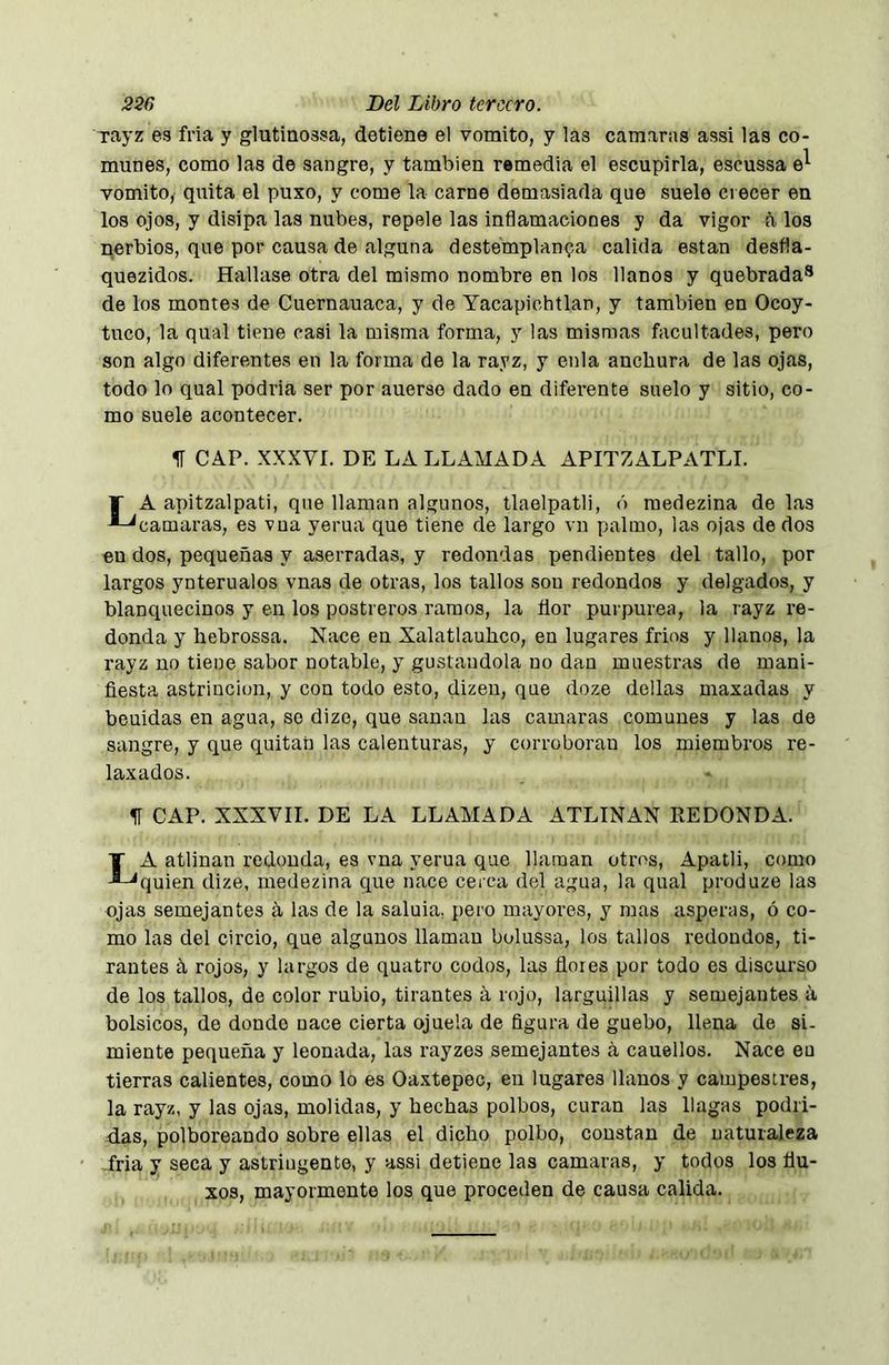 rayz es fría y glutiaossa, detiene el vomito, y las camaras assi las co- munes, como las de sangro, y también remedia el escupirla, escussa vomito, quita el puxo, y come la carne demasiada que suelo crecer en los ojos, y disipa las nubes, repele las inflamaciones y da vigor á los nerbios, que por causa de alguna destemplanza calida están desfla- quezidos. Hallase otra del mismo nombre en los llanos y quebrada® de los montes de Cuernauaca, y de Yacapichtlan, y también en Ocoy- tuco, la qual tiene casi la misma forma, y las mismas facultades, pero son algo diferentes en la forma de la rayz, y enla anchura de las ojas, todo lo qual podría ser por auerae dado en diferente suelo y sitio, co- mo suele acontecer. II CAP. XXXVr. DE LA LLAMADA APITZALPATLI. T A apitzalpati, que llaman algunos, tlaelpatli, ó raedezina de las -■-^camaras, es vna yerua que tiene de largo vn palmo, las ojas de dos en dos, pequeñas y aserradas, y redondas pendientes del tallo, por largos ynterualos vnas de otras, los tallos son redondos y delgados, y blanquecinos y en los postreros ramos, la flor purpurea, la rayz re- donda y hebrossa. Nace en Xalatlauhco, en lugares frios y llanos, la rayz no tiene sabor notable, y gustándola no dan muestras de mani- fiesta astrincion, y con todo esto, dizeu, que doze dolías maxadas y beuidas en agua, so dize, que sanan las camai’as comunes y las de sangre, y que quitan las calenturas, y corroboran los miembros re- laxados. 51 CAP. XXXVII. DE LA LLAMADA ATLTNAN REDONDA. La atlinan redonda, es vna yerua que llaman otros, Apatli, como quien dize, medezina que nace cerca del agua, la qual produze las ojas semejantes á las de la saluia, pero mayores, y mas ásperas, ó co- mo las del circio, que algunos llaman bolussa, los tallos redondos, ti- rantes á rojos, y largos de quatro codos, las flores por todo es discurso de los tallos, de color rubio, tirantes á rojo, larguillas y semejantes a bolsicos, de donde nace cierta ojuela de figura de guebo, llena de si- miente pequeña y leonada, las rayzes semejantes á cauellos. Nace eu tierras calientes, como lo es Oaxtepec, en lugares llanos y campestres, la rayz, y las ojas, molidas, y hechas polbos, curan las llagas podri- rlas, polboreando sobre ellas el dicho polbo, constan de naturaleza -fría y seca y astringente, y assi detiene las camaras, y todos los flu- xos, mayormente los que proceden de causa calida.