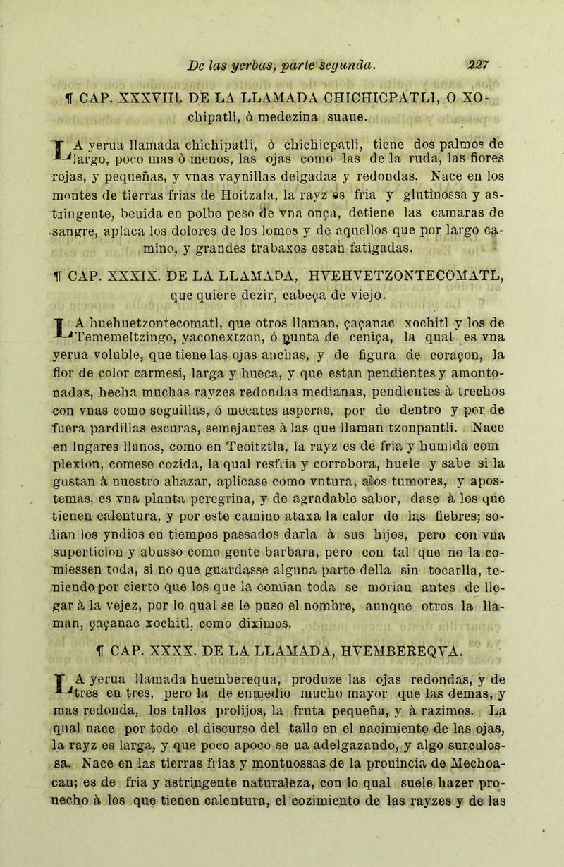 1Í CAP. XXXVIII. DE LA LLAMADA CHICHICPATLl, O XO- chipatli, ó medezina suaue. La yerna llamada chichipatli, ó cbichicpatli, tiene dos palmos de largo, pooo mas ó menos, las ojas como las de la ruda, las flores rojas, y pequeñas, y vnas vaynillas delgadas y redondas. Nace en los montes de tierras frias de Hoitzala, la rayz as fria y glntinossa y as- tjingente, heñida en polbo peso de vna onga, detiene las camaras de -sangre, aplaca los dolores de los lomos y de aquellos que por largo ca- mino, y grandes trabaxos están fatigadas. 1Í CAP. XXXIX. DE LA LLAMADA, HVEHVETZONTECOMATL, que quiere dezir, cabepa de viejo. 1 A hnehuetzontecomatl, que otros llaman, papanac xochitl y los de ^Tememeltzingo, yaconextzon, ó yunta de cenipa, la qual es vna yerua voluble, que tiene las ojas anchas, y de flgura de corapon, la flor de color carmes!, larga y hueca, y que están pendientes y amonto- nadas, hecha muchas rayzes redondas medianas, pendientes á trechos con vnas como soguillas, ó mecates ásperas, por de dentro y por de fuera pardillas escuras, semejantes á las que llaman tzonpantli. Nace en lugares llanos, como en Teoitztla, la rayz es de fria y húmida com plexion, cómese cozida, la qual resfria y corrobora, huele y sabe si la gastan íi nuestro ahazar, aplicase como vntura, aá-os tumores, y apos- temas, es vna planta peregrina, y de agradable sabor, dase á los que tienen calentura, y por este camino ataxa la calor do las flebres; so- lian los yndios en tiempos paseados darla á sus hijos, pero con vna superticion y abusso como gente barbara, pero con tal que no la co- miessen toda, si no que guardasse alguna parto della sin tocarlla, te- niendo por cierto que los que la comían toda se moriau antes de lle- gar á la vejez, por lo qual se le puso el nombre, aunque otros la lla- man, papanac xochitl, como diximos. H CAP. XXXX. DE LA LLAMADA, HVEMBEREQVA. T A yerua llamada huemberequa, produze las ojas redondas, y de -*-^tres en tres, pero la de enmedio mucho mayor que las demas, y mas redonda, los tallos prolijos, la fruta pequeña, y á razimos. La qual nace por todo el discurso del tallo en el nacimiento de las ojas, la rayz es larga, y que poco apoco se ua adelgazando, y algo surculos- sa. Nace en las tierras frias y montuossas de la prouincia de Mechoa- cau; es de fria y astringente naturaleza, con lo qual suele hazer pro- uecho á los que tienen calentura, el cozimiento de las rayzes y de las