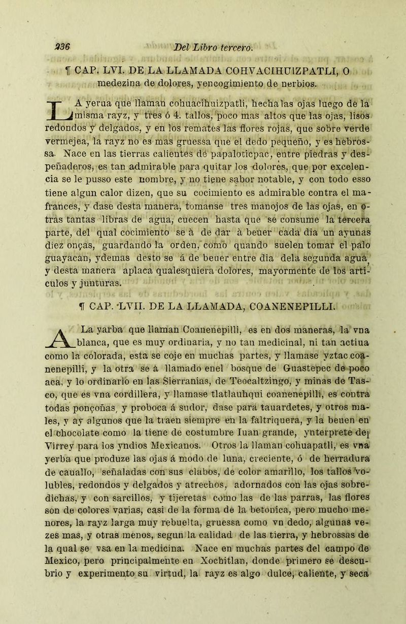H CAP. LVI. DE LA LLAMADA COHVACIHÜIZPATLI, O medezina de dolores, yencogimiento de nerbios. La yerua qne llaman cohuacihaizpatli, hecha las ojas luego de la misma rayz, y tres ó 4. tallos, poco mas altos que las ojas, lisos redondos y' delgados, y en los remates las flores rojas, que sobre verde vermejea, la rayz no es mas gruessa que el dedo pequeño, y es hehros- sa. Nace en las tierras calientes dé papaloticpac, entre piedras y des- peñaderos, es tan admirable para quitar los dolores, que por excelen- cia se le pusso este nombre, y no tiene sabor notable, y con todo esso tiene algún calor dizen, que su cocimiento es admirable contra el ma- frances, y dase desta manera, tomanse tres manojos de las ojas, en o- tras tantas libras de agua, cuecen hasta que se consume la tercera parte, del qual cocimiento se ñ de dar á heuer cada dia un ayunas diez on9as, guardando la orden, como quando suelen tomar el palo guayacan, ydemas desto se á de beuer entre dia déla segunda agua y desta manera aplaca qualesquiera dolores, mayormente de los artí- culos y junturas. H CAP. 'LVII. DE LA LLAMADA, COANENEPILLI. jL La yarba que llaman Coaneuepilli, es en dos maneras, la vna blanca, que es muy ordinaria, y no tan medicinal, ni tan actiua como la colorada, esta se coje en muchas partes, y llamase yztac coa- nenepilli, y la otra se á llamado enel bo.sque de Guastepec de poco aca, y lo ordinario en las Sierranias, de Teocaltzingo, y minas de Tas- co, que es vna cordillera, y llamase tlatlauhqui coanenepilli, es contra todas ponzoñas, y proboca á sudor, dase para tauardetes, y otros ma- les, y ay algunos que la traen siempre en la faltriquera, y la beuen en el chocolate como la tiene de costumbre luán grande, ynterprete dej Virrey para los yndios Mexicanos. Otros la llaman cohuapatli, es vna yerba que produze las ojas á modo de luna, creciente, ó de herradura de cauallo, señaladas con sus clabos, de color amarillo, los tallos Vo- lubles, redondos y delgados y atrechos, adornados con las ojas sobre- dichas, y con sarcillos, y tijeretas como las de las parras, las flores son de colores varias, casi de la forma de la betónica, pero mucho me- nores, la rayz larga muy rebuelta, gruessa como vn dedo, algunas ve- zes mas, y otras menos, según la calidad de las tierra, y hebrossas de la qual se vsa en la medicina. Nace en muchas partes del campo de Mexico, pero principalmente en Xochitlan, donde primero se descu- brió y experimento su virtud, la rayz es algo dulce, caliente, y seca