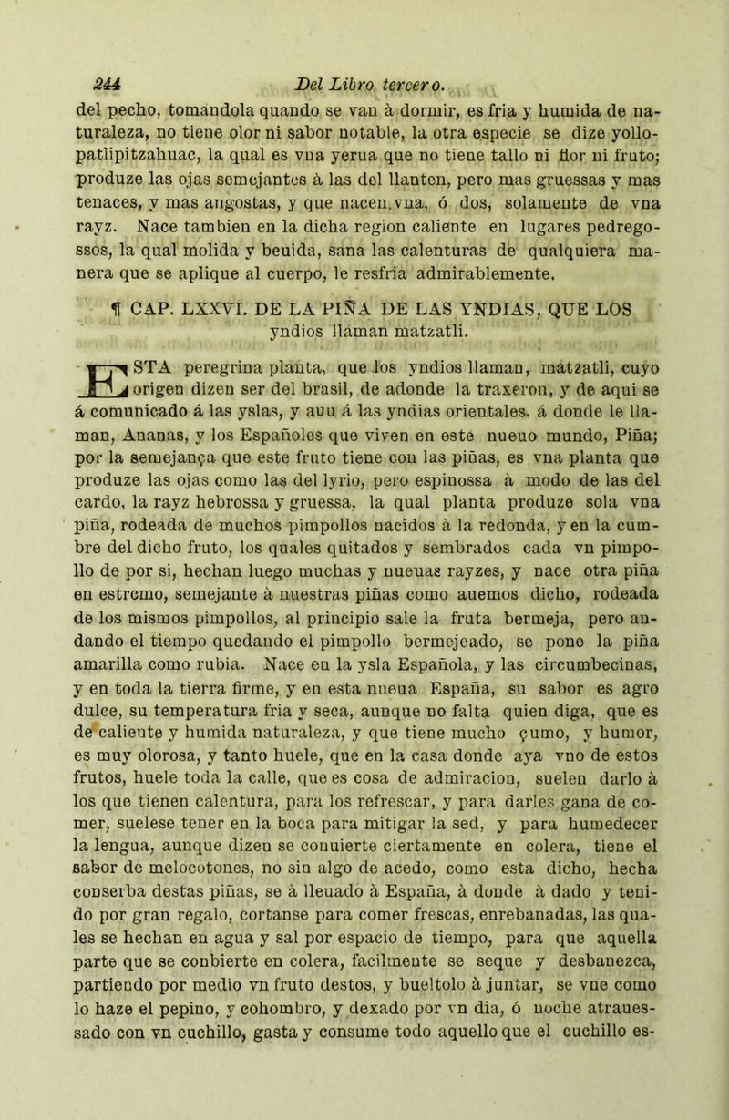 del pecho, tomándola quando se van á dormir, es fria y húmida de na- turaleza, no tiene olor ni sabor notable, la otra especie se dize yollo- patlipitzahuac, la qual es vua yerua que no tiene tallo ni ñor ni fruto; produze las ojas semejantes á las del llantén, pero mas gruessas y mas tenaces, y mas angostas, y que nacen, vna, ó dos, solamente de vna rayz. Nace también en la dicha region caliente en lugares pedrego- ssos, la qual molida y beuida, sana las calenturas de qualquiera ma- nera que se aplique al cuerpo, le resfria admirablemente, H CAP. LXXVI. DE LA PI^A DE LAS TNDIAS, QUE LOS yndios llaman matzatli. STA peregrina planta, que los yndios llaman, matzatli, cuyo fu J origen dizeu ser del brasil, de adonde la traxeron, y de aqui se á comunicado á las yslas, y auu á las yndias orientales, cá donde le lla- man, Ananas, y los Españoles que viven en este nueuo mundo. Pina; por la semejanza que este fruto tiene con las pinas, es vua planta que produze las ojas como las del lyrio, pero espinossa á modo de las del cardo, la rayz hebrossa y gruessa, la qual planta produze sola vna piña, rodeada de muchos pimpollos nacidos a la redonda, yen la cum- bre del dicho fruto, los quales quitados y sembrados cada vn pimpo- llo de por si, hechan luego muchas y nueuas rayzes, y nace otra piña en estrcmo, semejante á nuestras piñas como auemos dicho, rodeada de los mismos pimpollos, al principio sale la fruta bermeja, pero an- dando el tiempo quedando el pimpollo bermejeado, se pone la piña amarilla como rubia. Nace en la ysla Española, y las circumbecinas, y en toda la tierra firme, y en esta nueua España, su sabor es agro dulce, su temperatura fria y seca, aunque no falta quien diga, que es de caliente y húmida naturaleza, y que tiene mucho 9umo, y humor, es muy olorosa, y tanto huele, que en la casa donde aya vno de estos frutos, huele toda la calle, que es cosa de admiración, suelen darlo á los que tienen calentura, para los refrescar, y para darles gana de co- mer, suelese tener en la boca para mitigar la sed, y para humedecer la lengua, aunque dizeu se conuierte ciertamente en colera, tiene el sabor de melocotones, no sin algo de acedo, como esta dicho, hecha conseiba destas piñas, se á llenado á España, á donde h dado y teni- do por gran regalo, cortanse para comer frescas, enrebanadas, las qua- les se hechan en agua y sal por espacio de tiempo, para que aquella parte que se coubierte en colera, fácilmente se seque y desbauezca, partiendo por medio vn fruto destos, y bueltolo á juntar, se vne como lo haze el pepino, y cohombro, y dexado por vn dia, ó noche atraues- sado con vn cuchillo, gasta y consume todo aquello que el cuchillo es-