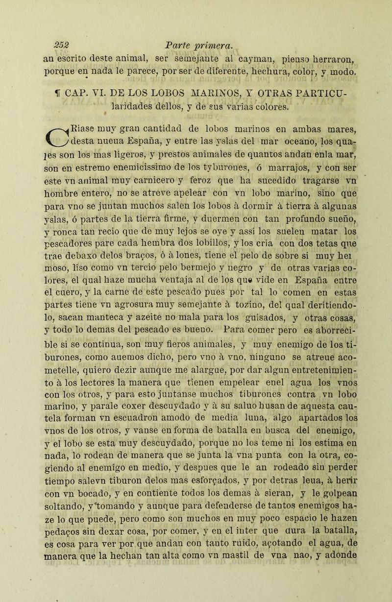 an escrito (leste animal, ser semejante al cayman, pienso heri-aron, porque en nada le parece, por ser de diferente, hechura, color, y modo. 51 CAP. YI. DE LOS LOBOS MARINOS, Y OTRAS PARTICÜ- laridades dellos, y de sus varias colores. CRiase muy gran cantidad de lobos marinos en ambas mares, desta nueua España, y entre las yslas del mar océano, los qua- ]es son los mas ligeros, y prestos animales de quantos andan enla mar, son en estremo enemicissimo de los tyburones, ó marrajos, y con ser este vn animal muy carnicero y feroz que ha sucedido tragarse vn hombre entero, no se atreve apelear con vn lobo marino, sino que para vno se juntan muchos salen los lobos á dormir á tierra á algunas yslas, ó partes de la tierra firme, y duermen con tan profundo sueño, y ronca tan recio que de muy lejos se oye y assi los suelen matar los pescadores pare cada hembra dos lobillos, y los cria con dos tetas que trae debaxo délos bracos, ó fi Iones, tiene el pelo de sobre si muy hei moso, liso como vn tercio pelo bermejo y negro y de otras varias co- lores, el qual haze mucha ventaja al de los qu« vide en España entre el cuero, y la carne de este pescado pues por tal lo comen en estas partes tiene vn agrosura muy semejante á, tozino, del qual deritiendo- lo, sac?m manteca y azeite no mala para los guisados, y otras cosas, y todo lo demas del pescado es bueno. Para comer pero es aborreci- ble si se continua, son muy fieros animales, y muy enemigo de los ti- burones, como auemos dicho, pero vno a vno, ninguno se atreue aco- metelle, quiero dezir aunque me alargue, por dar algún entretenimien- to los lectores la manera que tienen empelear enel agua los vnos con los otros, y para esto juntanse muchos tiburones contra vn lobo marino, y parale coxer descuydado y a su saluohusan de aquesta cau- tela forman vn escuadrón amodo de media luna, algo apartados los vnos do los otros, y vanse en forma de batalla en busca del enemigo, y el lobo se esta muy descuydado, porque no los teme ni los estima en nada, lo rodean de manera que se junta la vna punta con la otra, co- giendo al enemigo en medio, y después que le an rodeado siu perder tiempo salevn tiburón délos mas esforzados, y por detras leua, h herir con vn bocado, y en contiente todos los demas h sieran, y le golpean soltando, ytomando y aunque para defenderse de tantos enemigos ha- ze lo que puede, pero como son muchos en muy poco espacio le hazen pedazos sin dexar cosa, por comer, y en el inter que üura la batalla, es cosa para ver por que andan con tanto ruido, azotando el agua, de manera que la hechan tan alta como vn mástil de vna nao, y adonde