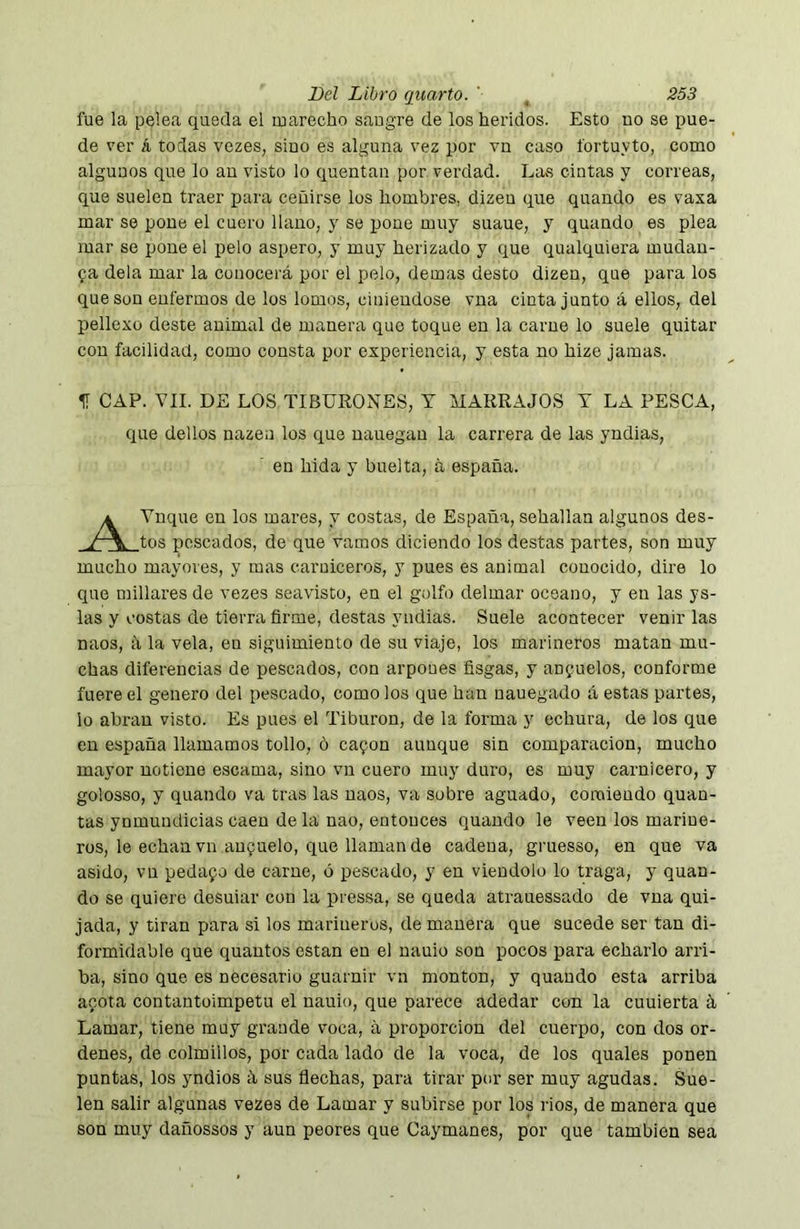 fue la pelea queda el marecho saugre de los heridos. Esto no se pue- de ver á todas vezes, sino es alguna vez por vn caso fortuyto, como algunos que lo an visto lo quentan por verdad. Las cintas y correas, que suelen traer para ceñirse los hombres, dizen que quando es vaxa mar se pone el cuero llano, y se pone muy suaue, y quando es plea mar se pone el pelo áspero, y muy herizado y que qualquiera mudan- za déla mar la conocerá por el pelo, demas desto dizen, que para los que Son enfermos de los lomos, ciñiéndose vna cinta junto á ellos, del pellexü deste animal de manera que toque en la carne lo suele quitar con facilidad, como consta por experiencia, y esta no hize jamas. CAP. VIL DE LOS TIBURONES, T MARRAJOS Y LA PESCA, que dedos nazen los que nauegau la carrera de las yndias, en hida y buelta, á españa. Vnque en los mares, y costas, de España, sehallan algunos des- tos pescados, de que varaos diciendo los destas partes, son muy mucho mayores, y mas carniceros, y pues es animal conocido, dire lo que millares de vezes seavisto, en el golfo delmar océano, y en las ys- las y costas de tierra firme, destas yndias. Suele acontecer venir las naos, á la vela, en siguimiento de su viaje, los marineros matan mu- chas diferencias de pescados, con arpones fisgas, y anzuelos, conforme fuere el genero del pescado, como los que han nauegado á estas partes, lo abran visto. Es pues el Tiburón, de la forma y echura, de los que cu españa llamamos tollo, ó ca^on aunque sin comparación, mucho mayor notiene escama, sino vu cuero muy duro, es muy carnicero, y golosso, y quando va tras las naos, va sobre aguado, comiendo quan- tas ynmuudicias caen de la nao, entonces quando le veen los marine- ros, le echan vn aufuelo, que llaman de cadena, gruesso, en que va asido, vn pedafo de carne, ó pescado, y en viéndolo lo traga, y quan- do se quiero desuiar con la pressa, se queda atrauessado de vna qui- jada, y tiran para si los marineros, de manera que sucede ser tan di- formidable que quantos están en el nauio son pocos para echarlo arri- ba, sino que es necesario guarnir vn monton, y quando esta arriba acota contantüimpetu el nauio, que parece adedar con la cuuierta á Lamar, tiene muy grande voca, á proporción del cuerpo, con dos or- denes, de colmillos, por cada lado de la voca, de los quales ponen puntas, los yndios á sus flechas, para tirar por ser muy agudas. Sue- len salir algunas vezes de Lamar y subirse por los rios, de manera que son muy dañossos y aun peores que Caymanes, por que también sea