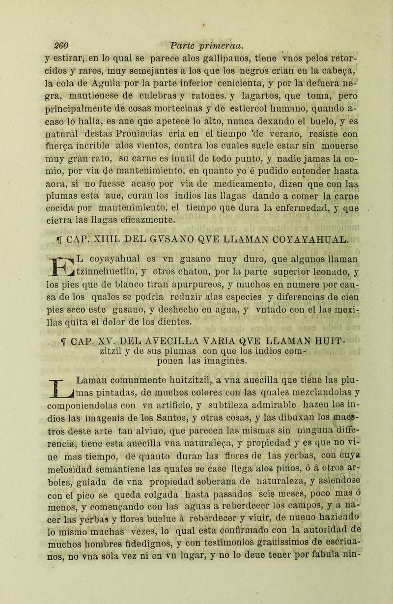 y estirar, en lo qual se parece alos gallipauos, tiene vnos pelos retor- cidos y raros, muy semejantes a los que los negros crian eu la cabeja, la cola de Aguila por la parte inferior cenicienta, y por la defuera ne- gra, mautienese de culebras y ratones, y lagartos, que toma, pero principalmente de cosas mortecinas y de estiércol humano, quando a- caso lo halla, es aue que apetece lo alto, nunca dexando el huelo, y es natural destas Prouincias cria en el tiempo ’de verano, resiste con fuerza incrible alos vientos, contra los cuales suele estar sin mouerse muy gran i’ato, su carne es inútil de todo punto, y nadie jamas la co- mió, por via de mantenimiento, en quanto yo ó pudido entender hasta aora, si no fuesse acaso por via de medicamento, dizen que con las plumas esta aue, curan los indios las llagas dando a comer la carne cocida por mantenimiento, el tiempo que dura la enfermedad, y que cierra las llagas eficazmente. ^ CAP. XIIII. DEL GYSANO QVE LLAMAN COTAYAHUAL. L coyayahual es vn gusano muy duro, que algunos llaman Ljtzinnehuetlin, y otros chatón, por la parte superior leonado, y los pies que de blanco tiran apuiqjureos, y muchos en numere jmr cau- sa de los quales se podria reduzir alas especies y diferencias de cien pies seco este gusano, y deshecho en agua, y vntado con el las meii- llas quita el dolor de los dientes. ^ CAP. XV. DEL AVECILLA VARIA QVE LLAMAN HÜIT- zitzil y de sus plumas cou que los indios com- ponen las imagines. I Laman comunmente huitzitzil, a vna auecilla que tiene las plu- _^mas pintadas, de muchos colores con las quales mezclándolas y componiéndolas con vn artificio, y subtileza admirable hazen los in- dios las imagenis de los Santos, y otras cosas, y las dibuxan los maes- tros deste arte tan alvino, que parecen las mismas sin ninguna diffe- reucia, tiene esta auecilla vna naturaleza, y propiedad y es que no vi- ue mas tiempo, de quanto duran las flores de las yerbas, cou cuya melosidad semantiene las quales se case llega alos pinos, ó á otros ar- boles, guiada de vna propiedad soberana de naturaleza, y asiéndose con el pico se queda colgada hasta passados seis meses, poco mas ó menos, y comenzando con las aguas a reberdecer los campos, y a na- cer las yerbas y flores buelue á reberdecer y viuir, de nueuo haziendo lo mismo muchas vezes, lo qual esta confirmado con la autoiidad de muchos hombres fidedignos, y con testimonios grauissimos de escriua- nos, no vna sola vez ni en vn lugar, y no lo deue tener por fabula nin-