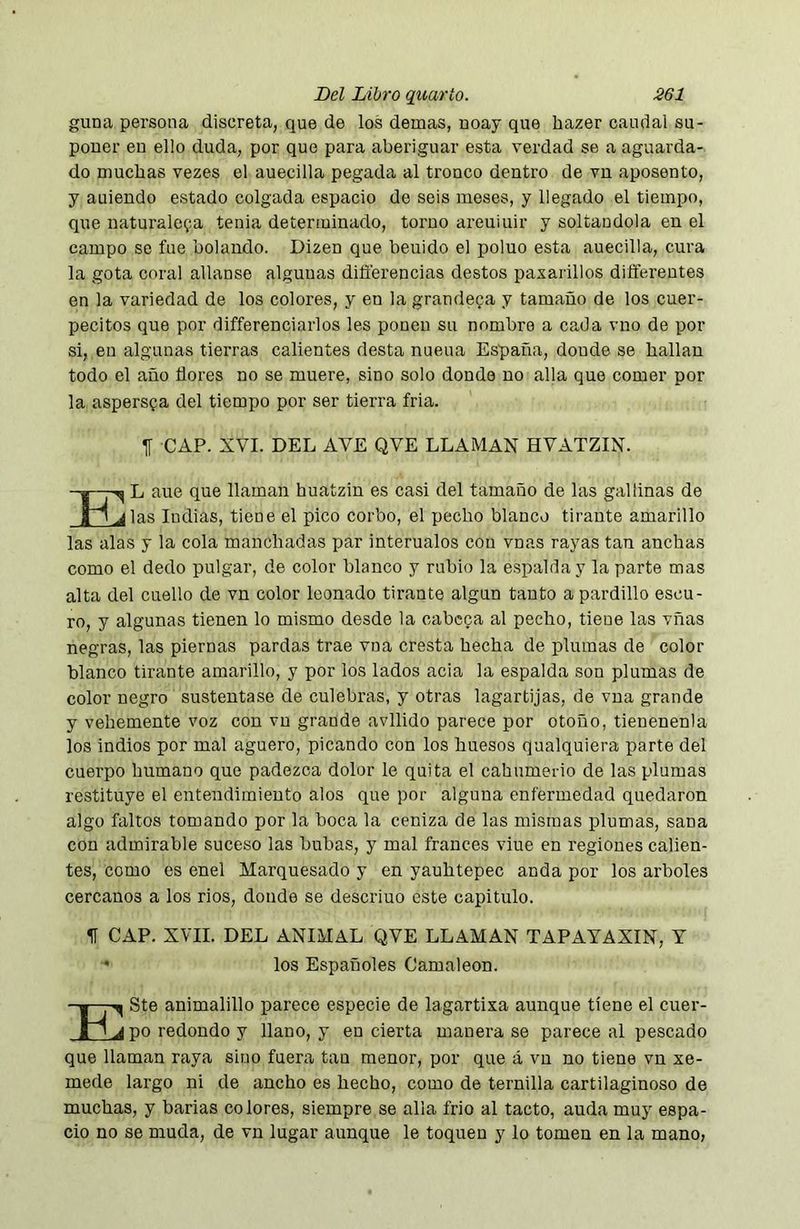 guna persona discreta, que de los demas, noay que hazer caudal su- poner en ello duda, por que para aberiguar esta verdad se a aguarda- do muchas vezes el auecilla pegada al tronco dentro de vn aposento, y auiendo estado colgada espacio de seis meses, y llegado el tiempo, que naturaleza tenia determinado, torno areuiuir y soltándola en el campo se fue helando. Dizen que beuido el poluo esta auecilla, cura la gota coral allanse algunas diflerencias destos paxarillos difterentes en la variedad de los colores, y en la grandeza y tamaño de los cuer- pecitos que por differenciarlos les ponen su nombre a cada vno de por si, en algunas tierras calientes desta nueua España, donde se hallan todo el año flores no se muere, sino solo donde no alia que comer por la aspersza del tiempo por ser tierra fria. H CAP. XVI. DEL AVE QVE LLAMAN HVATZIN. ^ L aue que llaman huatzin es casi del tamaño de las gallinas de j las Indias, tiene el pico corbo, el pecho blanco tirante amarillo las alas y la cola manchadas par intérnalos con vnas rayas tan anchas como el dedo pulgar, de color blanco y rubio la espalda y la parte mas alta del cuello de vn color leonado tirante algún tanto a pardillo escu- ro, y algunas tienen lo mismo desde la cabeza al pecho, tiene las vñas negras, las piernas pardas trae vna cresta hecha de plumas de color blanco tirante amarillo, y por los lados acia la espalda son plumas de color negro sustentase de culebras, y otras lagartijas, de vna grande y vehemente voz con vn grande avllido parece por otoño, tienenenla los indios por mal agüero, picando con los huesos qualquiera parte del cuerpo humano que padezca dolor le quita el cahumerio de las plumas restituye el entendimiento alos que por alguna enfermedad quedaron algo faltos tomando por la boca la ceniza de las mismas plumas, sana con admirable suceso las bubas, y mal francés vine en regiones calien- tes, como es enel Marquesado y en yauhtepec anda por los arboles cercanos a los rios, donde se descriuo este capitulo. 51 CAP. XVII. DEL ANIMAL QVE LLAMAN TAPAYAXIN, T • los Españoles Camaleón. Este animalillo parece especie de lagartixa aunque tiene el cuer- po redondo y llano, y en cierta manera se parece al pescado que llaman raya sino fuera tan menor, por que á vn no tiene vn xe- mede largo ni de ancho es hecho, como de ternilla cartilaginoso de muchas, y barias colores, siempre se alia frió al tacto, auda muy espa- cio no se muda, de vn lugar aunque le toquen y lo tomen en la mano,
