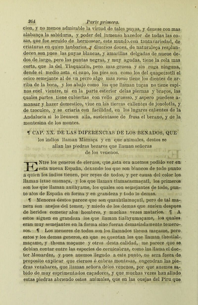 cion, y no menos admirable la virtud do tales puyas, y deuese con mas alabanga la sabiduría, y poder del inmeuso hazedor de todas las co- sas, que fue seruido de hermosear, este mundo,con tantavariedad, de criaturas en quien tanbarios,,y diucrsos dones, do naturaleza resplan- decen son pues las puyas blancas, y amarillas delgadas de nueue de- dos de largo, pero las puntas negras, y muy agudas, tiene la cola mas corta, que la del Tlaquatziu, pero mas gruesa y sin ruga ninguna, dende el medio asta el cauo, los pies son como los del quapetzotli el ocico semejante al de vn perro algo mas romo tiene los dientes de ar- riba de la boca, y los abajo como los que llamau tufas no tiene espi- nas enel vientre, ni en la parte esterior délas piernas y brufos, las quales partes tiene cubiertas con vello gruesso, y áspero puedese a- mansar y hazer domestico, vine en las tierras calientes de jonolotla, y de tzoculco, y se criaria con facilidad, en los lugares calientes de la Andalucia si lo licuasen alia, sustentasse de fruta el berauo, y de la montesina de los montes. 11 CAP. XX. DE LAS DIFERENCIAS DE LOS BENADOS, QUE los indios llaman Mamafa y en que animales, destos se alian las piedras bezares que llamau señoras de los venenos. I ^ Ntre los géneros de ciemos, que asta ora auemos podido ver en A esta nueua España, dexando los que son blancos de todo punto a quien los indios tienen, por reyes de todos, y per causa del color los llamau iztac mamafa, y los que llaman tlamacazmafatl, los primeros son los que llaman auilhyame, los quales son seqiejantes de todo, pun- to alos de España en forma y en grandeza y todo lo demas. IT Menores destos parece que son quauhtlamafatl, pero de tal ma- nera son anejos del temor, y miedo do los demas que suelen después de heridos cometer alos hombres, y muchas vezes matarlos. j[ A estos siguen en grandeza los que llamau tlalhyumafame, los quales eran muy semejantes en la forma sino fueran demasiadamente temero- sos. IT Los menores de todos son los llamados theina raafamo, pero estos y los demas generes, en que se quentan los que llamau theotlal- mafame, y thoma mafame y otros desta calidad, me parece que se debían contar entre las especies de ceruicabras, como las llama el doc- tor Monardez, y pues auemos llegado a este punto, uo sera fuera de proposito explicar que cientos ó cabras montosas, engendran las pie- dras vezahares, que llaman señora délos venenos, por (lue auemos sa- bido de muy esprimeutados cafadores, y que muchas vezes han aliado estas piedras abriendo ostos animales, que en las ouejas del Piru que