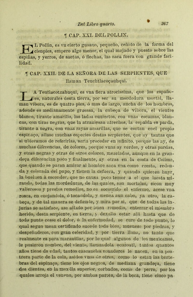 1[ CAP. XXL DEL POLLIX. L Pollin, es vii cierto gusano, pequeño, ceñido do la forma del l^cienpies, empero algo menor, el qual majado y puesto sobre las espinas, y yerros, de saetas, ó ñechas, las saca fuera con grande faci- lidad. ^ CAP. XXII. DE LA SEÑORA DE LAS SERPIENTES, QUE llaman Teuchtlacogauhqui. A Teutlacotzahuqui, es vna ñera atrocissima, que los espaüo- (les, naturales desta tierra, por ser su mordedura mortal, lla- man vibora, es de quatro pies, ó rúas de largo, ancha de los hombros, adonde es medianamente gruessa, la cabeí^a de vibora, el vientre blanco, tirante amarillo, los lados cuuiertos, con vnas escamas, blan- cas, con tiras negras, que la atrauiesan atrechos, la espalda es parda, tirante a negra, con vnas rayas amarillas, que se cortan enel propio espinado, aliase muchas especies destas serpientes, que ay tantas que si ubierainos de referirlas, seria proceder en intinito, porque las ay, de muchas diferencias, de colores, porque vnas ay verdes, y otras pardas, y otras negras y otras do otros colores, mezclados, aunque en la gran- deva diferencian poco y finalmente, ay otras en la co.sta de Colima, que quando se paran amirar al hombre saca vna como cresta, redon- da y colorada del papo, y tienen la defuera, y quando quimón huyr, la buelueu á esconder, que no causa poco temor a el que ¡aesta mi- rando, tudas las mordeduras, de las quaies, son mortales, sicon muy vallerosos y ])iestos remedios, no es socorrido el enfermo, acese vna. rosca, en empandóla, ó tocándola, y menea aun cabo, ya otro, la ca- bera, y de tal manera se defiende, y mira por si, que de todas las in- jurias se satisface, ase aliado por buen remedio, enterrar el miembro herido, desta serpiente, en tierra, \ dexallo estar alli hasta que de todo punto cesse el dolor, ó la enfermedad, se curo de todo punto, lo qual según mean certificado sucede todo bien, mueuesc por piedras, y despeñaderos, con gran celeridad, y por tierra llana, no tanto que realmente es para marauillar, por lo qual algunos do los mexicanos, le pusieron nombre, del viento, llamándola ocozoatl, tantos quantos años tiene de edad, tantos cascaueles sonadores le nacen, en la pos- trera parte de la cola, asidos vnos de otros, como lo c.stan las berte- bras del espinado, tiene los ojos negros, de mediana grandeva, tiene dos dientes, en la mexdla superior, corbados, como de perro, por los quaies arroja el veneno, por ambas partes, do la boca, tiene cinco pa-