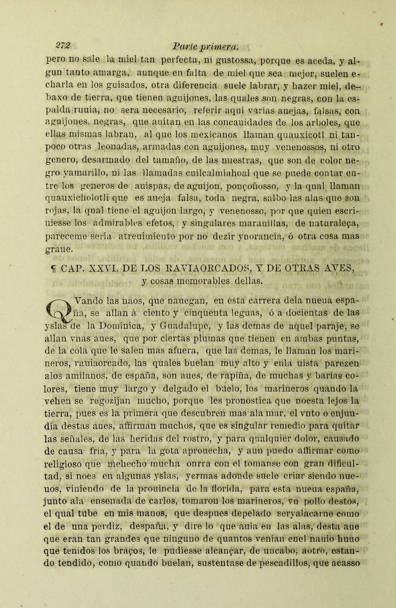 pero uo sale la miel tan perfecta, ni gustossa, porque es aceda, y al- gún tanto amarga, aunque en falta de miel que sea mejor, suelen e- charla en los guisados, otra diferencia suele labrar, y hazer miel, de- baxo de tierra, que tienen aguijones, las quales son negras, con la es- palda nuda, no sera necesario, referir aqui varias auejas, falsas, con aguijones, negras, que auitan en las concauidades de los arboles, que ellas mismas labran, al que los mexicanos llaman quauxicotl ni tan- poco otras leonadas, armadas con aguijones, muy veuenossos, ni otro genero, desarmado del tamafm, de las nuestras, que son de color ne- gro yaraarillo, ni las llamadas cuilcalmiahoal que se puede contar en- tre los géneros de auispas, de aguijón, poufoüosso, y la qual llaman quauxicholotli que es aneja falsa, toda negra, saibó las alas que son rojas, la qual tiene el aguijón largo, y veneoosso, por que quien escri- uiesse los admirables efetos, y singulares inarauillas, de uaturalepa, pareceme seria atreuimiento por uo dezir ynorancia, ó otra cosa mas grane. íí CAP. XXVI. DE LOS EAVIAORCADOS, Y DE OTRAS AVES, y cosas memorables dellas. Ovando las naos, que nauegan, en esta carrera déla nueua espa- _^ña, se alian k ciento y cinqueuta leguas, ó a docieutas de las yslas de la Dominica, y Guadalupe, y las demas de aquel paraje, se alian vnas aues, que por ciertas plumas que tienen en ambas puntas, de la cola que le salen mas afuera, que las demas, le llaman los mari- neros, rauiaorcado, las quales huelan muy alto y enla uista parezeu alos amilanos, de españa, son aues, de rapiña, de muchas y barias co- lores, tiene muy largo y delgado el huelo, los marineros quando la vehen se regozijan mucho, porque les pronostica que noesta lejos la tierra, pues es la primera que descubren mas ala mar, el vnto o enjun- dia destas aues, affirman muchos, que es singular remedio para quitar las señales, de las heridas del rostro, y para qualquier dolor, causado de causa l'ria, y para la gota aprouecha, y aun puedo affirmar como religioso que mehecho mucha onrra con el tomanse con gran dificul- tad, si noes en algunas yslas, yermas adonde suele criar siendo nue- uos, viniendo de la prouincia de la fiorida, para esta nueua españa, junto ala ensenada de carlos, toraarou los marineros, vn pollo desto.s, el qual tube en mis manos, que después depelado seryalacarne como el de una perdiz, despaña, y dire lo que auia en las alas, desta aue que eran tan grandes que ninguno de quamos venian enel nauio huno que tenidos los brafos, le pudiesse alcanzar, de uncabo, aotro, estan- do tendido, como quando huelan, sustentase de pescadillos, que acasso
