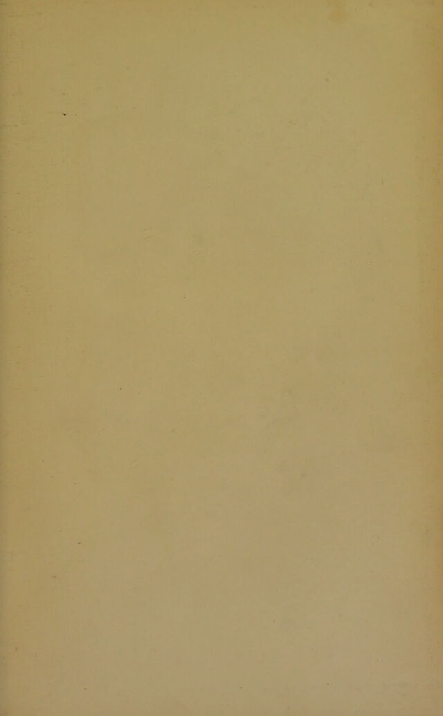 digitised image 3