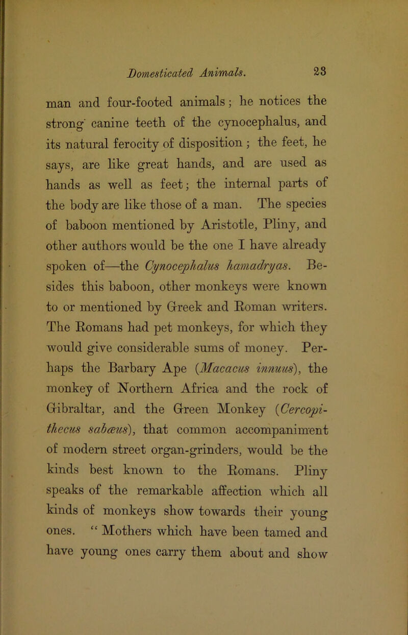 man and fonr-footed animals; lie notices the strong' canine teeth of the cynocephalus, and its natural ferocity of disposition j the feet, he says, are like great hands, and are used as hands as well as feet j the internal parts of the body are like those of a man. The species of baboon mentioned by Aristotle, Pliny, and other authors would he the one I have already spoken of—the Cynocephalus hamadryas. Be- sides this baboon, other monkeys were known to or mentioned by Greek and Roman writers. The Romans had pet monkeys, for which they would give considerable sums of money. Per- haps the Barbary Ape {Macacos innuiis), the monkey of Northern Africa and the rock of Gibraltar, and the Green Monkey {Cercopi- th ecus sahmis), that common accompaniment of modern street organ-grinders, would be the kinds best known to the Romans. Pliny speaks of the remarkable affection which all kinds of monkeys show towards their young ones. “ Mothers which have been tamed and have young ones carry them about and show