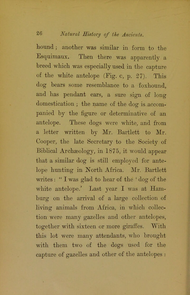 hound ; another was similar in form to the Esquimaux. Then there was apparently a breed w^hich was especially used in the capture of the white antelope (Eig. c, p. 27). This dog bears some resemblance to a foxhound, and has pendant ears, a sure sign of long domestication ; the name of the dog is accom- panied by the figure or determinative of an antelope. These dogs were white, and from a letter written by Mr. Bartlett to Mr. Cooper, the late Secretary to the Society of Biblical Archaeology, in 1875, it would appear that a similar dog is still employed for ante- lope hunting in North Africa. Mr. Bartlett writes: “ I was glad to hear of the ‘ dog of the white antelope.’ Last year I was at Ham- burg on the arrival of a large collection of living animals from Africa, in which collec- tion were many gazelles and other antelopes, together with sixteen or more giraffes. With this lot were many attendants, who brought with them two of the dogs used for the capture of gazelles and other of the antelopes :