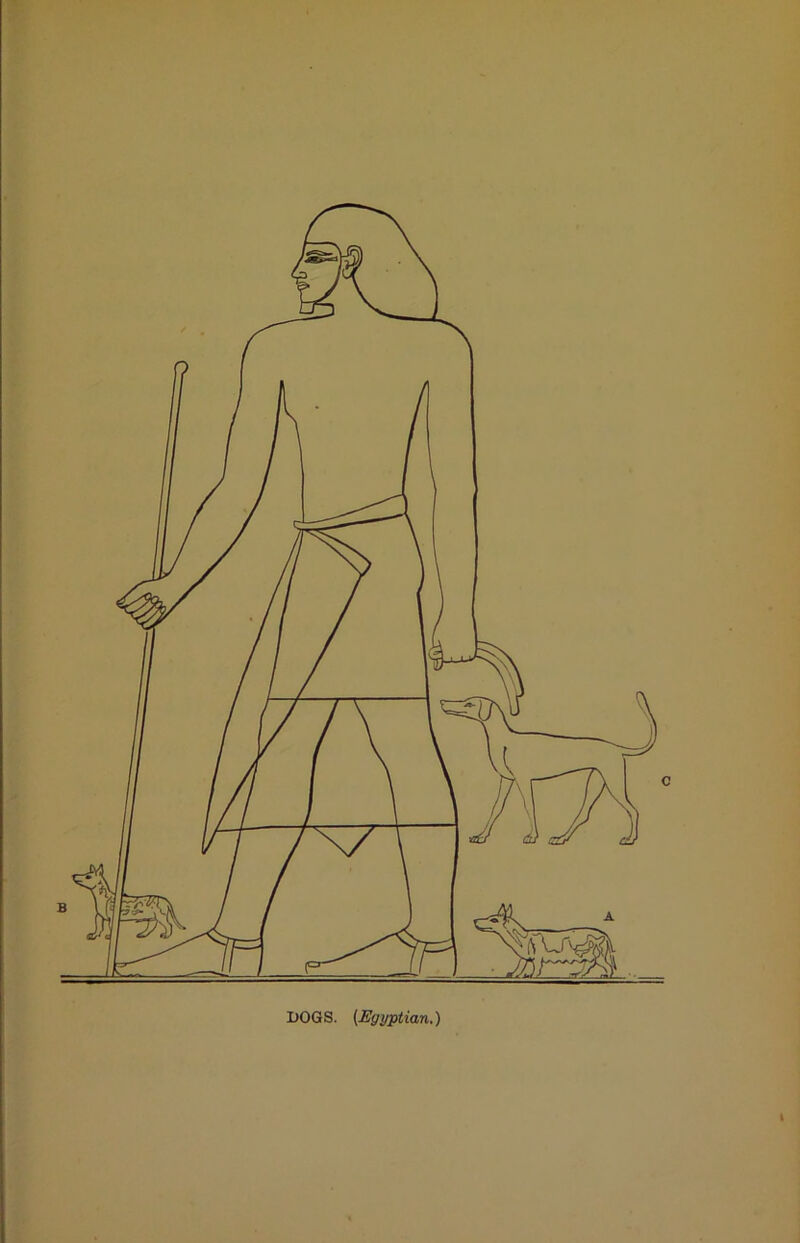 DOGS. (Egyptian.)