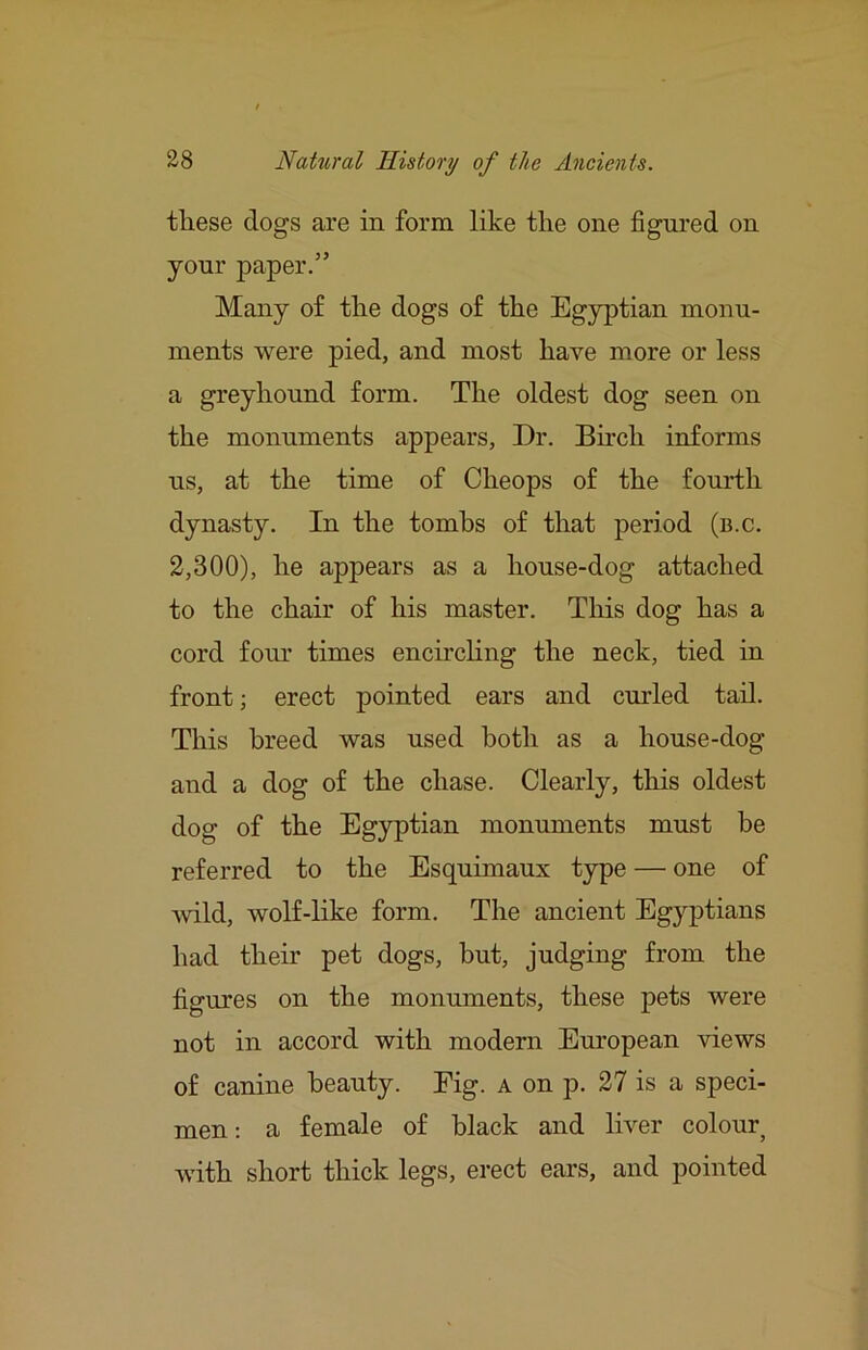 these dogs are in form like the one figured on your paper.” Many of the dogs of the Egyptian monu- ments were pied, and most have more or less a greyhound form. The oldest dog seen on the monuments appears, Dr. Buch informs us, at the time of Cheops of the fourth dynasty. In the tombs of that period (b.c. 2,300), he appears as a house-dog attached to the chair of his master. This dog has a cord four times encirchng the neck, tied in front; erect pointed ears and curled tail. This breed was used both as a house-dog and a dog of the chase. Clearly, this oldest dog of the Egyptian monuments must be referred to the Esquimaux type — one of Avild, wolf-like form. The ancient Egyptians had then’ pet dogs, but, judging from the figures on the monuments, these pets were not in accord with modern Em'opean views of canine beauty. Eig. a on p. 27 is a speci- men: a female of black and liver colour with short thick legs, erect ears, and pointed