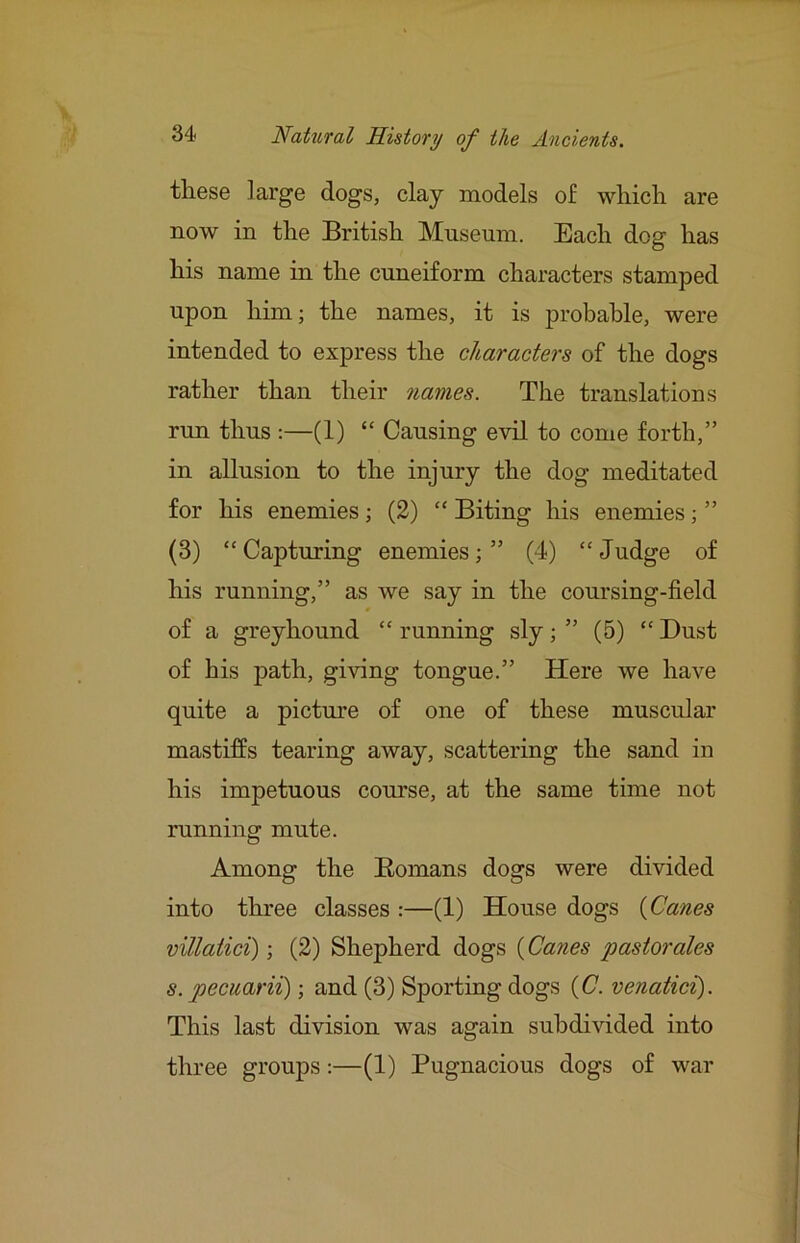 these large dogs, clay models of which are now in the British Museum. Each dog has his name in the cuneiform characters stamped upon him; the names, it is probable, were intended to express the characters of the dogs rather than their names. The translations run thus :—(1) “ Causing evil to come forth,” in allusion to the injury the dog meditated for his enemies; (2) “ Biting his enemies; ” (3) “Capturing enemies;” (4) “Judge of his running,” as we say in the coursing-field of a greyhound “ running sly; ” (5) “ Dust of his path, giving tongue.” Here we have quite a pictm’e of one of these muscular mastiffs tearing away, scattering the sand in his impetuous course, at the same time not running mute. Among the Eomans dogs were divided into three classes :—(1) House dogs {(Janes viUatici); (2) Shepherd dogs (Canes pastorales s. pecuarii); and (3) Sporting dogs {C. venatici). This last division was again subdivided into three groups:—(1) Pugnacious dogs of war