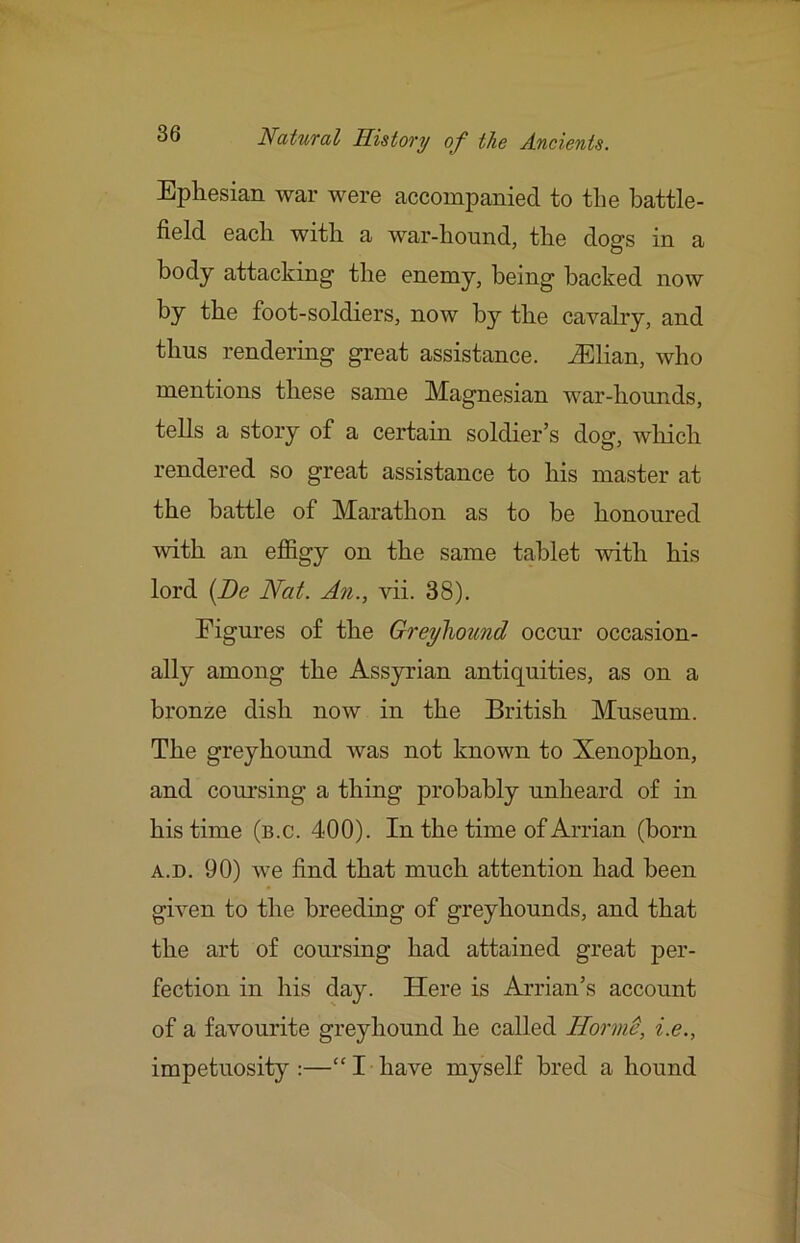 Ephesian war were accompanied to the battle- field each with a war-hound, the dogs in a body attacking the enemy, being backed now by the foot-soldiers, now by the cavalry, and thus rendering great assistance, ^lian, who mentions these same Magnesian war-hounds, tells a story of a certain soldier’s dog, wliich rendered so great assistance to his master at the battle of Marathon as to be honom'ed with an efSgy on the same tablet with his lord [Be Nat. An., vii. 38). Figm’es of the Greyhound occur occasion- ally among the Assyrian antiquities, as on a bronze dish now in the British Museum. The greyhound was not known to Xenophon, and coursing a thing probably unheard of in his time (b.c. 400). In the time of Arrian (born A.D. 90) we find that much attention had been given to the breeding of greyhounds, and that the art of coursing had attained great per- fection in his day. Here is Arrian’s account of a favourite greyhound he called Hornf, i.e., impetuosity:—“I have myself bred a hound