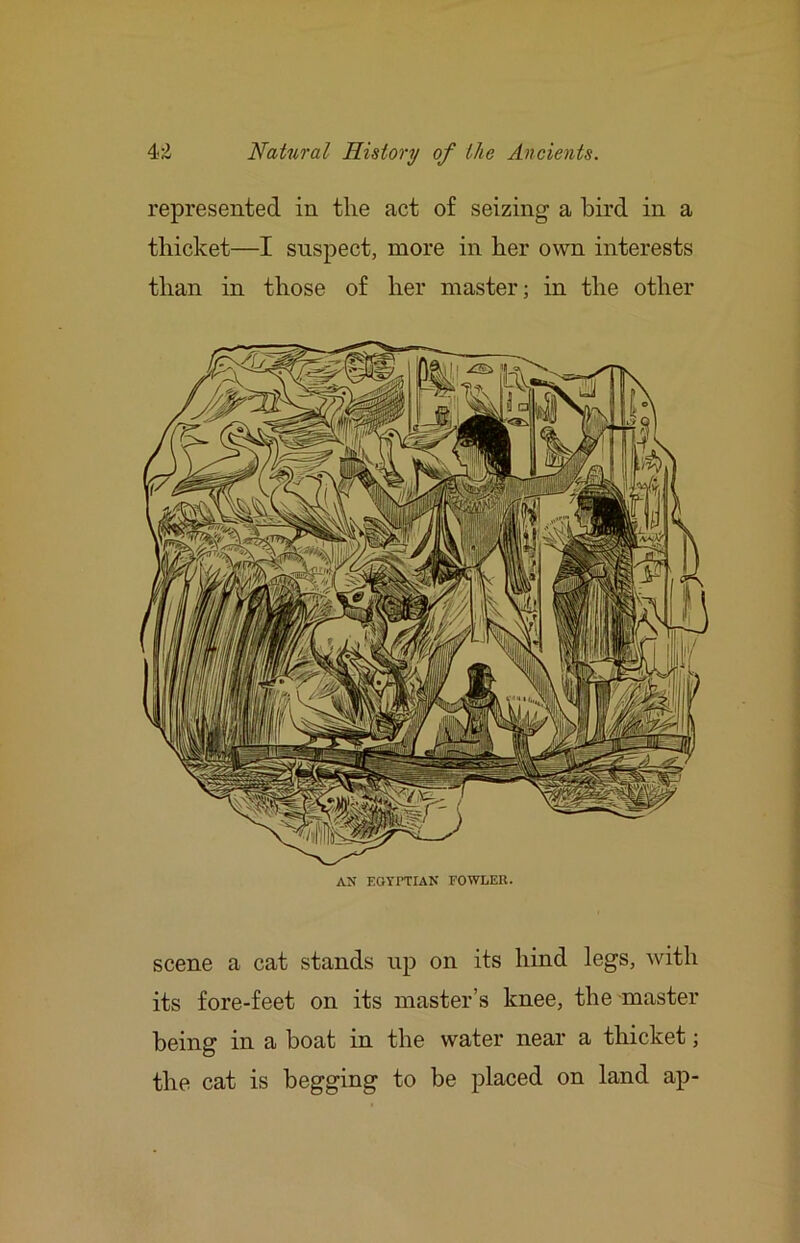 represented in the act of seizing a bird in a thicket—I suspect, more in her own interests than in those of her master; in the other AN EOYITIAN FOWLER. scene a cat stands up on its hind legs, with its fore-feet on its master’s knee, the master being in a boat in the water near a thicket; the cat is begging to be placed on land ap-