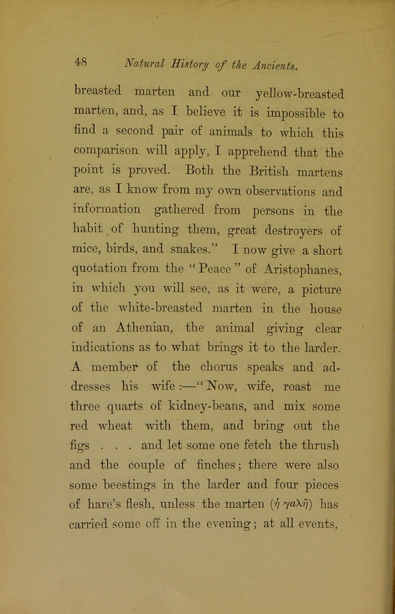 breastsd marten and our yellow-breasted marten, and, as I believe it is impossible to find a second pair of animals to which this comparison will apply, I apprehend that the point is proved. Both the British martens are, as I know from my own observations and information gathered from persons in the habit of hunting them, great destroyers of mice, birds, and snakes.” I now give a short quotation from the “ Peace ” of Aristophanes, in Avhich you will see, as it were, a picture of the white-breasted marten in the house of an Athenian, the animal giving clear indications as to what brings it to the larder. A member of the chorus speaks and ad- dresses his wife :—“ Now, wife, roast me three quarts of kidney-beans, and mix some red wheat with them, and bring out the figs . . . and let some one fetch the thrush and the couple of finches; there were also some beestings in the larder and four pieces of hare’s flesh, unless the marten (f yaXi)) has carried some off in the evening; at all events.