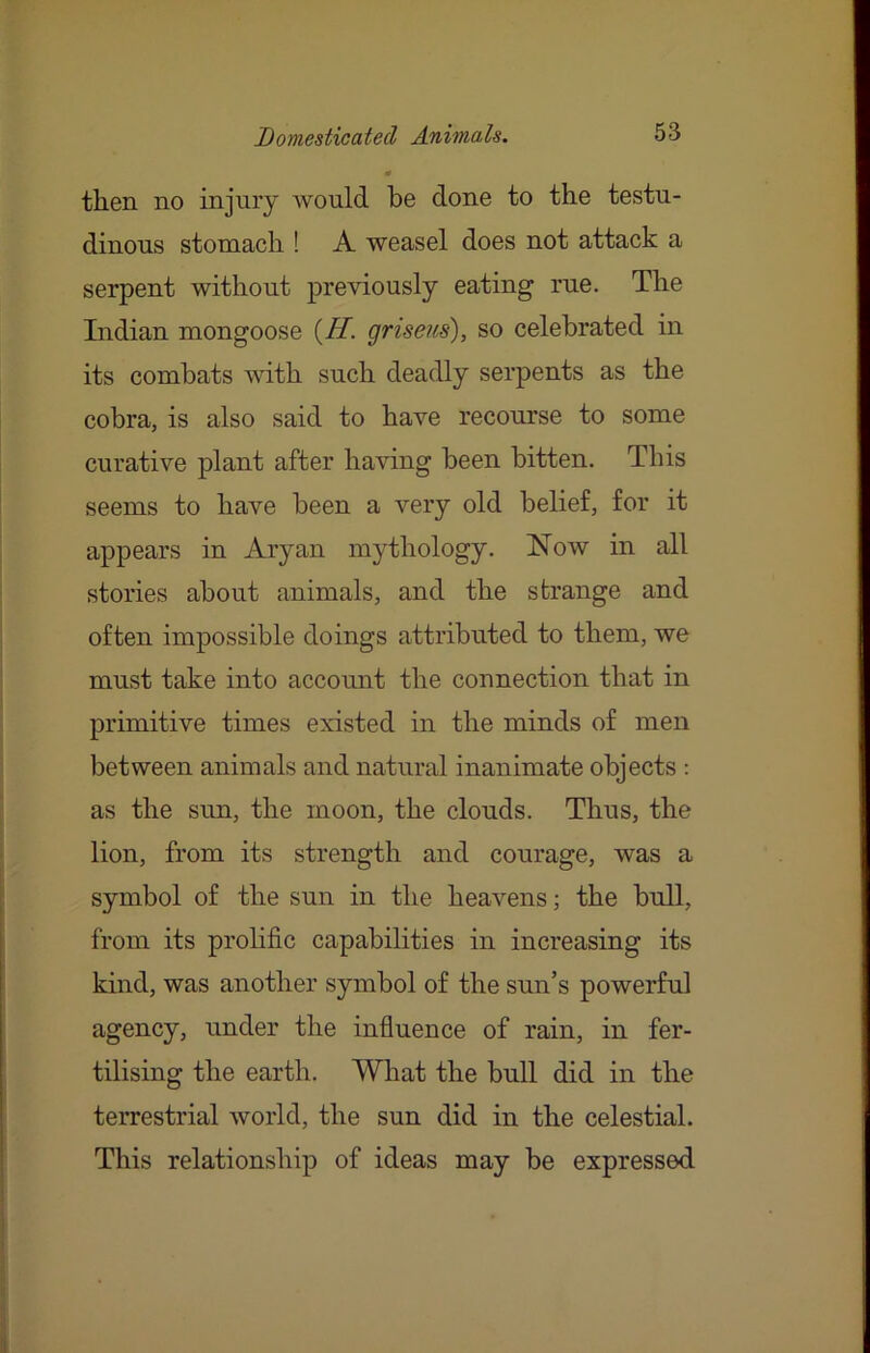 then no injury would be done to the testu- dinous stomach ! A weasel does not attack a serpent without previously eating rue. The Indian mongoose griseus), so celebrated in its combats with such deadly serpents as the cobra, is also said to have recourse to some curative plant after having been bitten. This seems to have been a very old belief, for it appears in Aryan mythology. Now in all stories about animals, and the strange and often impossible doings attributed to them, we must take into account the connection that in primitive times existed in the minds of men between animals and natural inanimate objects : as the sun, the moon, the clouds. Thus, the lion, from its strength and courage, was a symbol of the sun in the heavens; the bull, from its prolific capabilities in increasing its kind, was another symbol of the sun’s powerful agency, under the infiuence of rain, in fer- tilising the earth. What the bull did in the terrestrial world, the sun did in the celestial. This relationship of ideas may be expressed