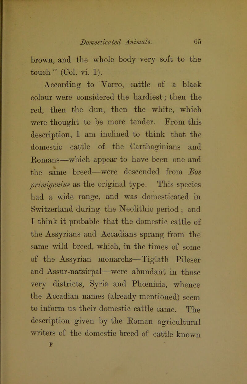 brown, and the whole body very soft to the touch ” (Col. vi. 1). According to Varro, cattle of a black colour were considered the hardiest; then the red, then the dun, then the white, which were thought to be more tender. From this description, I am inclined to think that the domestic cattle of the Carthaginians and Eomans—which appear to have been one and the same breed—were descended from Bos primigenius as the original type. This species had a wide range, and was domesticated in Switzerland during the Neolithic period ; and I think it probable that the domestic cattle of the Assyrians and Accadians sprang from the same wild breed, which, in the times of some of the Assyrian monarchs—Tiglath Pileser and Assur-natsirpal—were abundant in those very districts, Syria and Phoenicia, whence the Accadian names (aheady mentioned) seem to inform us their domestic cattle came. The description given by the Eoman agricultural writers of the domestic breed of cattle known