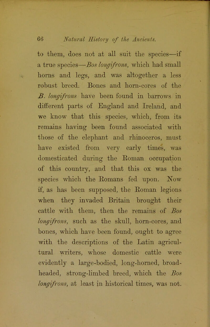to them, does not at all suit the species—if a true species—Bos longifrons, which had small horns and legs, and was altogether a less robust breed; Bones and horn-cores of the B. longifrons have been found in harrows in different parts of England and Ireland, and we know that tliis species, which, from its remains having been found associated with those of the elephant and rhinoceros, must have existed from very early times, was domesticated during the Roman occupation of this country, and that this ox was the species which the Romans fed upon. Now if, as has been supposed, the Roman legions when they invaded Britain brought their cattle with them, then the remains of Bos longifrons, such as the skull, horn-cores, and bones, which have been found, ought to agree with the descriptions of the Latin agricul- tural writers, whose domestic cattle were evidently a large-bodied, long-horned, broad- headed, strong-limbed breed, which the Bos longifrons, at least in historical times, was not.