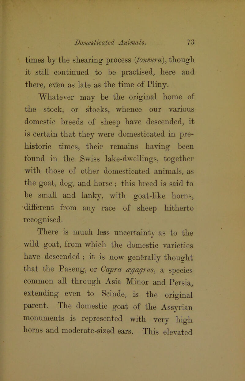 times by the shearing process {tomura), though it still continued to be practised, here and there, ev;en as late as the time of Pliny. Whatever may be the original home of the stock, or stocks, whence our various domestic breeds of sheep have descended, it is certain that they were domesticated in pre- historic times, their remains having been found in the Swiss lake-dwellings, together ■with those of other domesticated animals, as the goat, dog, and horse; this breed is said to be small and lanky, with goat-like horns, different from any race of sheep hitherto recognised. There is much less uncertainty as to the wild goat, from wliich the domestic varieties have descended; it is now generally thought that the Paseng, or Capra (Bgagriis, a species common all through Asia Minor and Persia, extending even to Scinde, is the original parent. The domestic goat of the Assyrian monuments is represented with very high horns and moderate-sized ears. This elevated