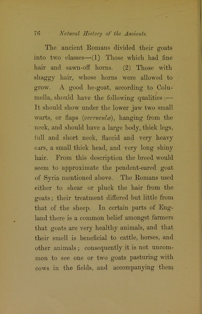 The ancient Eomans di^'ided their goats into two classes—(1) Those which had fine hair and sawn-off horns. (2) Those with shaggy hair, whose horns were allowed to grow. A good he-goat, according to Coin- mella,. should have the follovdng qualities :— It should show under the lower jaw two small warts, or flaps {veiTucida), hanging from the neck, and should have a large body, thick legs, friU and short neck, flaccid and very heavy ears, a small thick head, and very long shiny hair. From this description the breed would seem to approximate the pendent-eared goat of Syria mentioned above. The Eomans used either to shear or pluck the hair from the goats; their treatment differed but little from that of the sheep. In certain parts of Eng- land there is a common belief amongst farmers that goats are very healthy animals, and that their smell is beneficial to cattle, horses, and other animals ; consequently it is not uncom- mon to see one or two goats pasturing vdth cows in the fields, and accompanying them