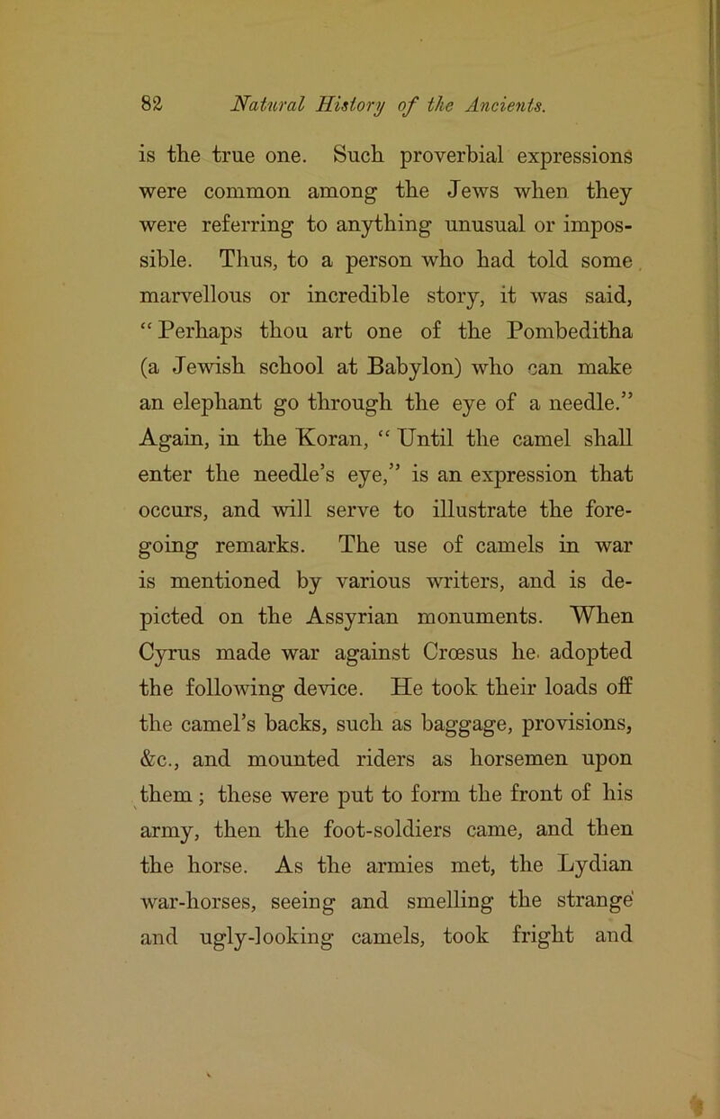 is the true one. Such proverbial expressions were common among the Jews when they were referring to anything unusual or impos- sible. Thus, to a person who had told some marvellous or incredible story, it was said, “Perhaps thou art one of the Pombeditha (a Jewish school at Babylon) who can make an elephant go through the eye of a needle.” Again, in the Koran, “ Until the camel shall enter the needle’s eye,” is an expression that occurs, and will serve to illustrate the fore- going remarks. The use of camels in war is mentioned by various writers, and is de- picted on the Assyrian monuments. When Cyrus made war against Croesus he. adopted the following device. He took their loads off the camel’s backs, such as baggage, provisions, &c., and mounted riders as horsemen upon them ; these were put to form the front of his army, then the foot-soldiers came, and then the horse. As the armies met, the Lydian war-horses, seeing and smelling the strange and ugly-looking camels, took fright and