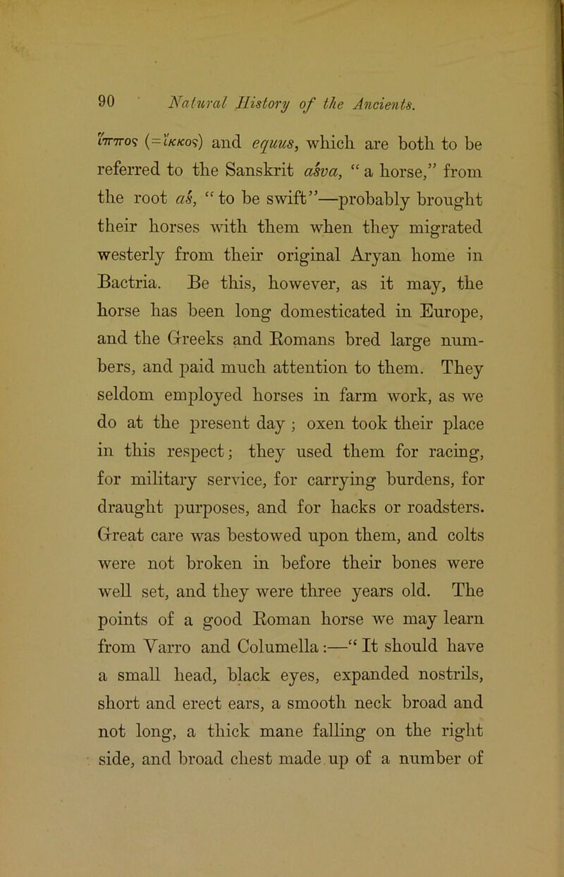 tWo? (=r/c/co9) and eqms., which are both to be referred to the Sanskrit asva, “ a horse,” from the root as, “ to be swift”—probably brought their horses with them when they migrated westerly from then’ original Aryan home in Bactria. Be this, however, as it may, the horse has been long domesticated in Europe, and the Greeks and Homans bred large num- bers, and paid much attention to them. They seldom emjjloyed horses in farm work, as we do at the jDresent day ; oxen took their place in this respect; they used them for raciag, for military service, for carrying burdens, for draught purposes, and for hacks or roadsters. Great care was bestowed upon them, and colts were not broken in before their bones were well set, and they were tliree years old. The points of a good Eoman horse we may learn from Varro and Columella;—“It should have a small head, black eyes, expanded nostrils, short and erect ears, a smooth neck broad and not long, a thick mane falling on the right side, and broad chest made up of a number of