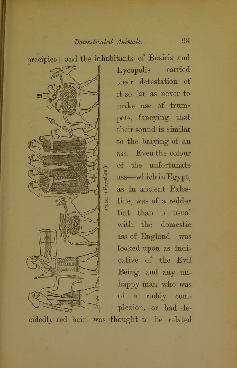 precipice; and tlie inhabitants of Busiris and Lycopolis carried their detestation of it so far as never to make use of trum- pets, fancying that their sound is similar to the braying of an ass. Even the colour ^ of the unfortunate 3 ass—which in Egypt, ^ as in ancient Pales- n’ tine, was of a redder CQ ^ tn ^ tint than is usual with the domestic ass of England—was looked upon as indi- cative of the Evil Being, and any un- happy man who was of a ruddy com- plexion, or had de- cidedly red hair, was thought to be related