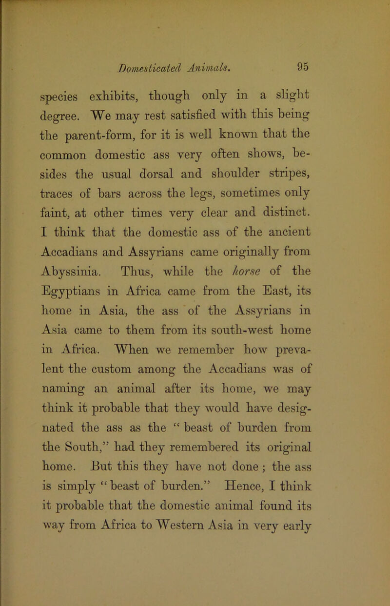 species exhibits, though only in a slight degree. We may rest satisfied with this being the parent-form, for it is well known that the common domestic ass very often shows, be- sides the usual dorsal and shoulder stripes, traces of bars across the legs, sometimes only faint, at other times very clear and distinct. I think that the domestic ass of the ancient Accadians and Assyrians came originally from Abyssinia. Thus, while the horse of the Egyptians in Africa came from the East, its home in Asia, the ass of the Assyrians in Asia came to them from its south-west home in Africa. When we remember how preva- lent the custom among the Accadians was of naming an animal after its home, we may think it probable that they would have desig- nated the ass as the “ beast of burden fi’om the South,” had they remembered its original home. But this they have not done ; the ass is simply “ beast of burden.” Hence, I think it probable that the domestic animal found its way from Africa to Western Asia in very early