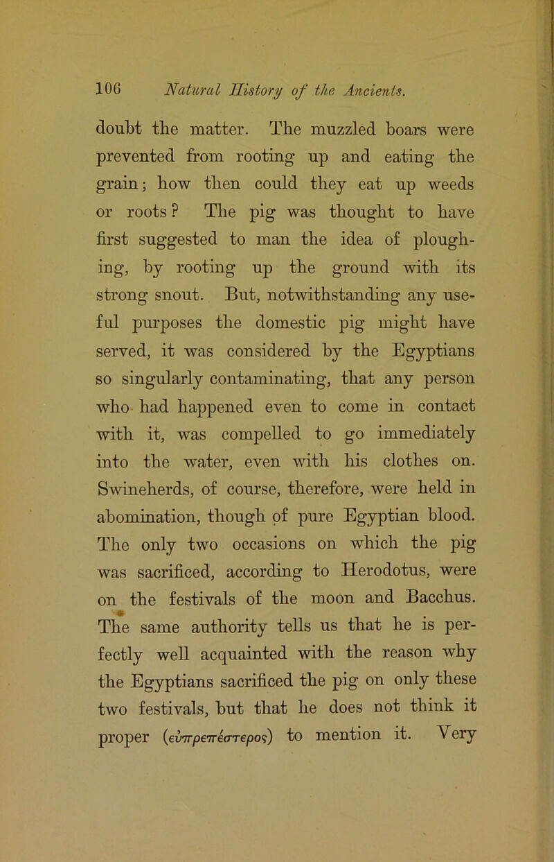 doubt the matter. The muzzled boars were prevented from rooting up and eating the grain; how then could they eat up weeds or roots ? The pig was thought to have first suggested to man the idea of plough- ing, by rooting up the ground with its strong snout. But, notwithstanding any use- ful purposes the domestic pig might have served, it was considered by the Egyptians so singularly contaminating, that any person who had happened even to come in contact with it, was compelled to go immediately into the water, even with his clothes on. Swineherds, of course, therefore, were held in abomination, though of pm’e Egyptian blood. The only two occasions on which the pig was sacrificed, according to Herodotus, were on the festivals of the moon and Bacchus. The same authority tells us that he is per- fectly well acquainted with the reason why the Egyptians sacrificed the pig on only these two festivals, but that he does not think it proper {eimpeTreaTepos;) to mention it. Very