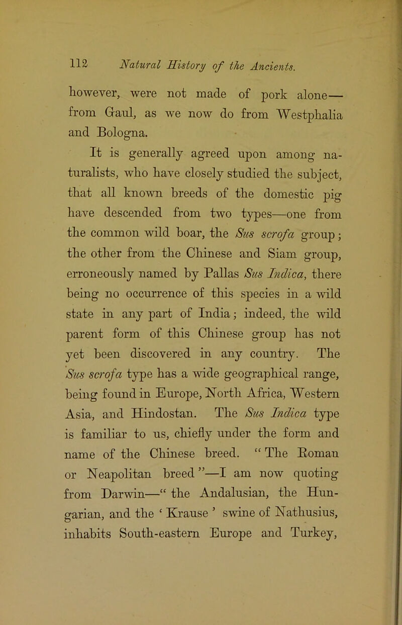 however, were not made of pork alone— from Ganl, as we now do from Westphalia and Bologna. It is generally agreed upon among na- turalists, who have closely studied the subject, that aU known breeds of the domestic pig have descended from two types—one from the common wild boar, the Siis scrofa group; the other from the Chinese and Siam group, erroneously named by Pallas Sus Indica, there being no occurrence of this species in a wild state in any part of India; indeed, the wild parent form of this Chinese group has not }'-et been discovered in any country. The Sus scrofa type has a wide geographical range, being found in Europe, North Africa, Western Asia, and Hindostan. The Sus Indica type is familiar to us, chiefly under the form and name of the Chinese breed. “ The Eoman or Neapolitan breed”—I am now quoting from Darwin—“ the Andalusian, the Hun- garian, and the ‘ Krause ’ swine of Nathusius, inhabits South-eastern Europe and Turkey,