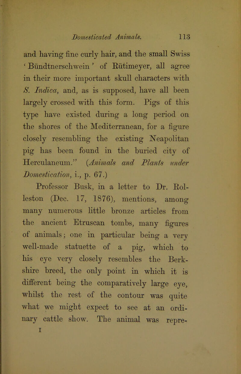 and having fine curly hair, and the small Swiss ‘ Biindtnerschwein ’ of Eiitimeyer, all agree in their more important skull characters with S. Indica, and, as is supposed, have all been largely crossed with this form. Pigs of this type have existed during a long period on the shores of the Mediterranean, for a figure closely resembhng the existing Neapolitan pig has been found in the buried city of Herculaneum.” {Animals and Plants under Domestication, i., p. 67.) Professor Busk, in a letter to Dr. Eol- leston (Dec. 17, 1876), mentions, among many numerous Httle bronze articles from the ancient Etruscan tombs, many figures of animals; one in particular being a very well-made statuette of a pig, which to liis eye very closely resembles the Berk- shire breed, the only point in which it is different being the comparatively large eye, whilst the rest of the contour was quite what we might expect to see at an ordi- nary cattle show. The animal was ref>re- I