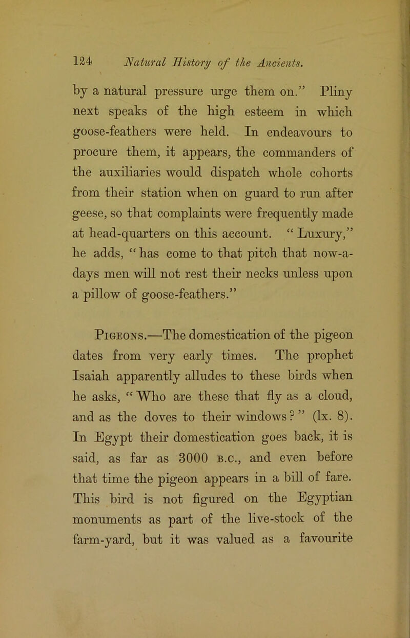 by a natural pressure urge them on.” Pliny next speaks of the high esteem in which goose-feathers were held. In endeavours to procure them, it appears, the commanders of the auxiliaries would dispatch whole cohorts from their station when on guard to run after geese, so that complaints were frequently made at head-quarters on this account. “ Luxury,” he adds, “ has come to that pitch that now-a- days men will not rest their necks unless upon a pillow of goose-feathers.” Pigeons.—The domestication of the pigeon dates from very early times. The prophet Isaiah apparently alludes to these birds when he asks, “ Who are these that fly as a cloud, and as the doves to their windows?” (lx. 8). In Egypt their domestication goes hack, it is said, as far as 3000 b.c., and even before that time the pigeon appears in a hiU of fare. This bird is not figured on the Egyptian monuments as part of the live-stock of the farm-yard, but it was valued as a favourite