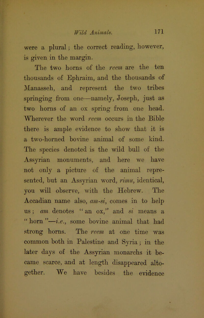 were a plural; the correct reading, however, is given in the margin. The two horns of the reem are the ten thousands of Ephraim, and the thousands of Manasseh, and represent the two tribes springing from one—namely, Joseph, just a-s two horns of an ox spring from one head. Wherever the word reem occurs in the Bible there is ample evidence to show that it is a two-horned bovine animal of some kind. The species denoted is the wild bull of the Assyrian monuments, and here we have not only a picture of the animal repre- sented, but an Assyrian word, rimu, identical, you will observe, with the Hebrew. The Accadian name also, am-si, comes in to help us; am denotes “an ox,” and si means a “ horn ”—i.e., some bovine animal that had strong horns. The reem at one time was common both in Palestine and Syria; in the later days of the Assyrian monarchs it be- came scarce, and at length disappeared alto- gether. We have besides the evidence