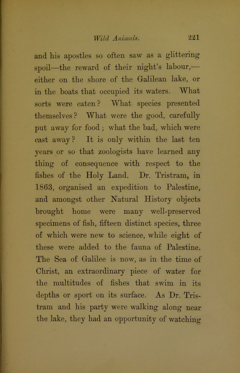 and his apostles so often saw as a glittering spoil—the reward of their night’s labour,— either on the shore of the Galilean lake, or in the boats that occupied its waters. What sorts were eaten? Wliat species presented themselves P What were the good, carefully put away for food ; what the bad, which were cast away P It is only within the last ten years or so that zoologists have learned any thing of consequence with respect to the fishes of the Holy Land. Dr. Tristram, in 1863, organised an expedition to Palestine, and amongst other Natural History objects brought home were many well-preserved specimens offish, fifteen distinct species, three of which were new to science, while eight of these were added to the fauna of Palestine. The Sea of Galilee is now, as in the time of Christ, an extraordinary piece of water for the multitudes of fishes that swim in its depths or sport on its surface. As Dr. Tris- tram and his party were walking along near the lake, they had an opportunity of watching